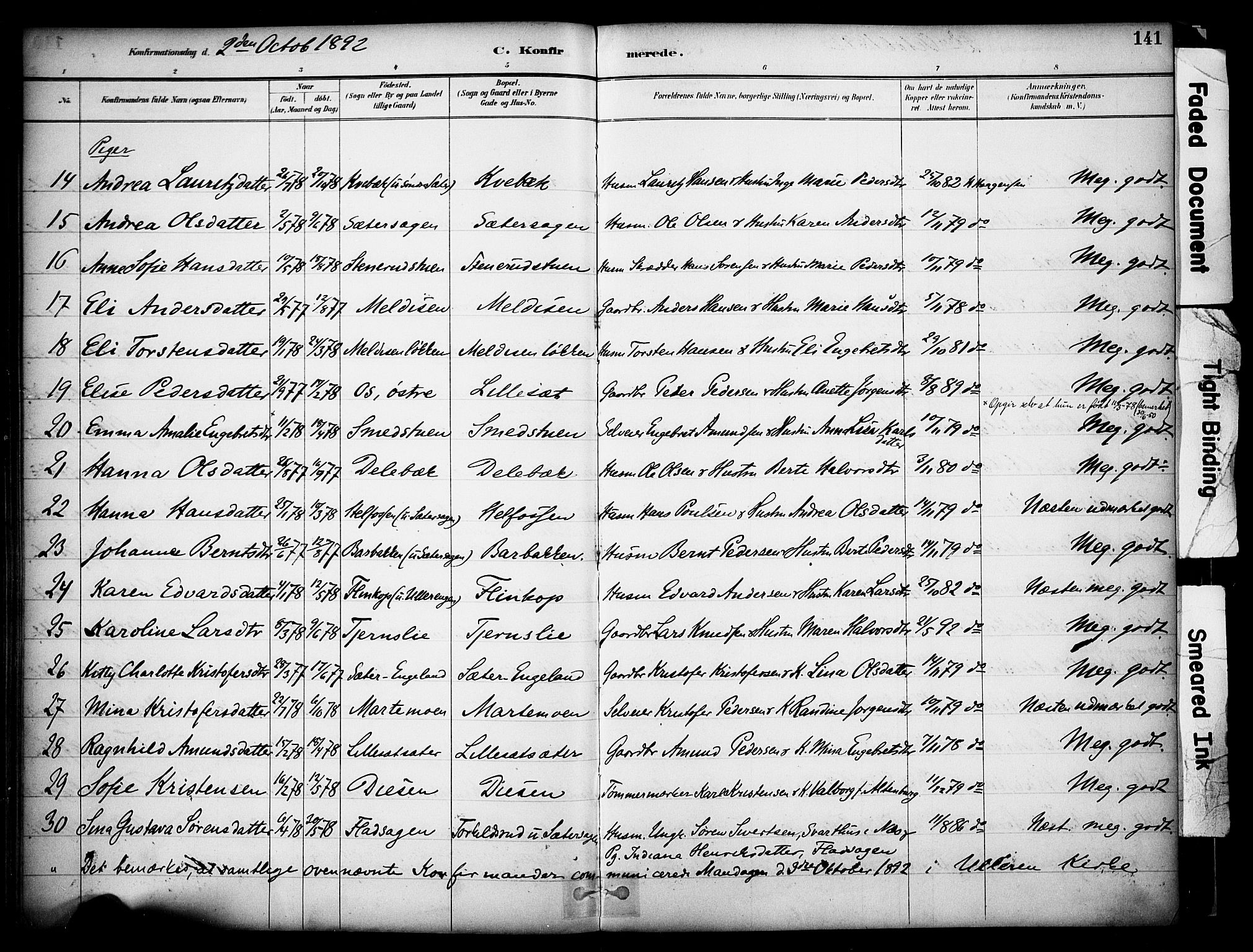 Sør-Odal prestekontor, SAH/PREST-030/H/Ha/Haa/L0008: Parish register (official) no. 8, 1886-1922, p. 141