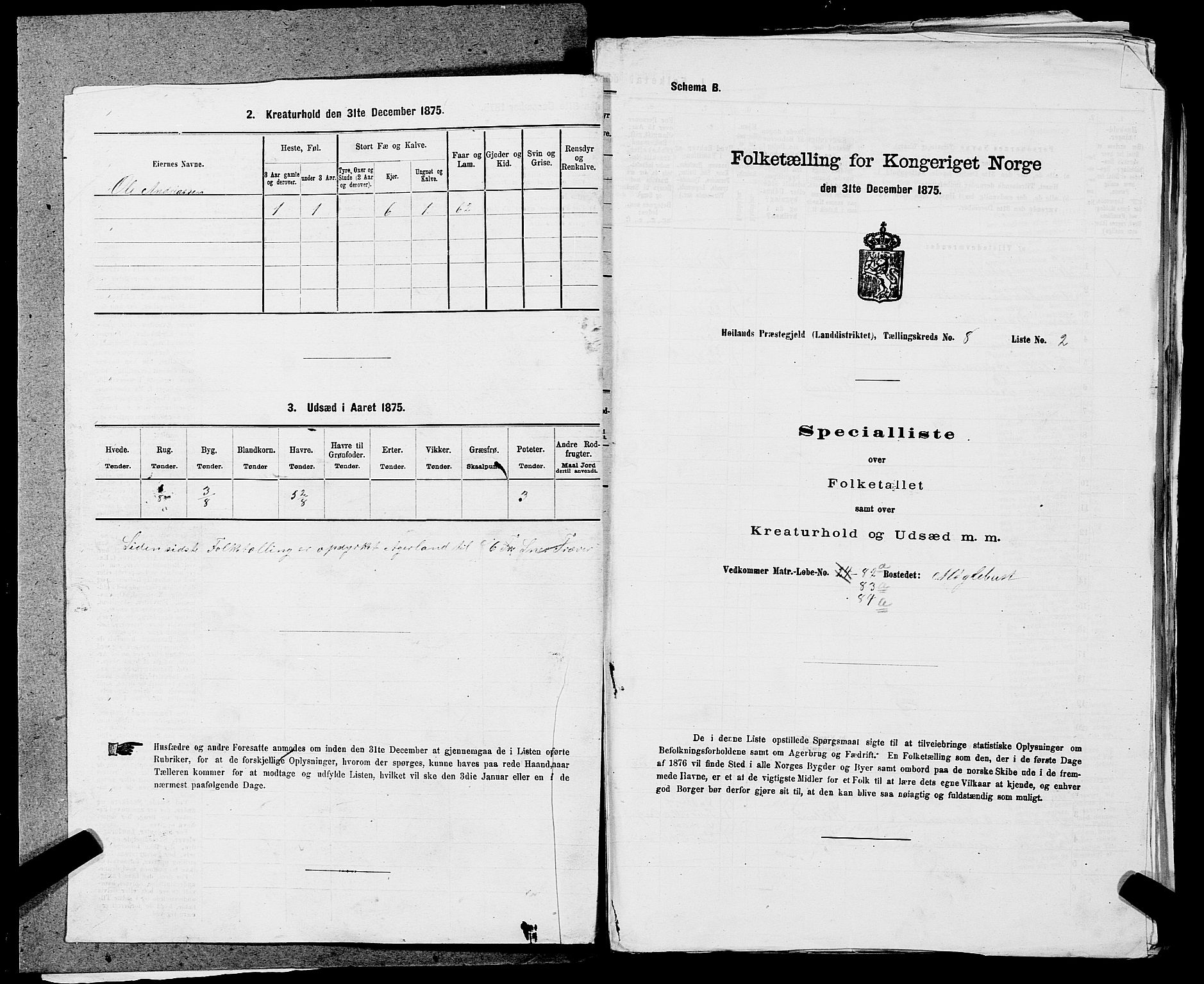 SAST, 1875 census for 1123L Høyland/Høyland, 1875, p. 1063