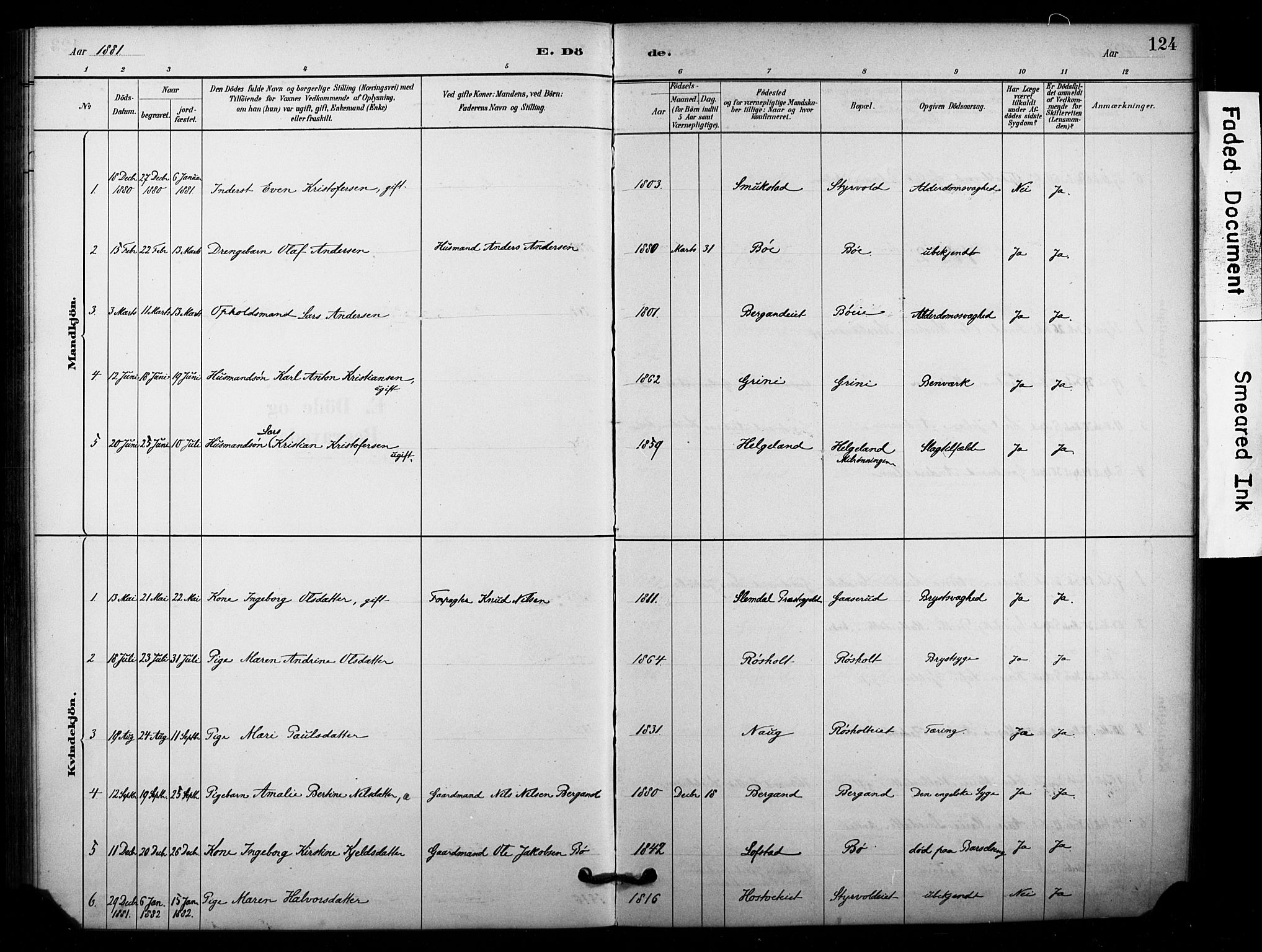 Lardal kirkebøker, AV/SAKO-A-350/F/Fd/L0001: Parish register (official) no. IV 1, 1881-1907, p. 124