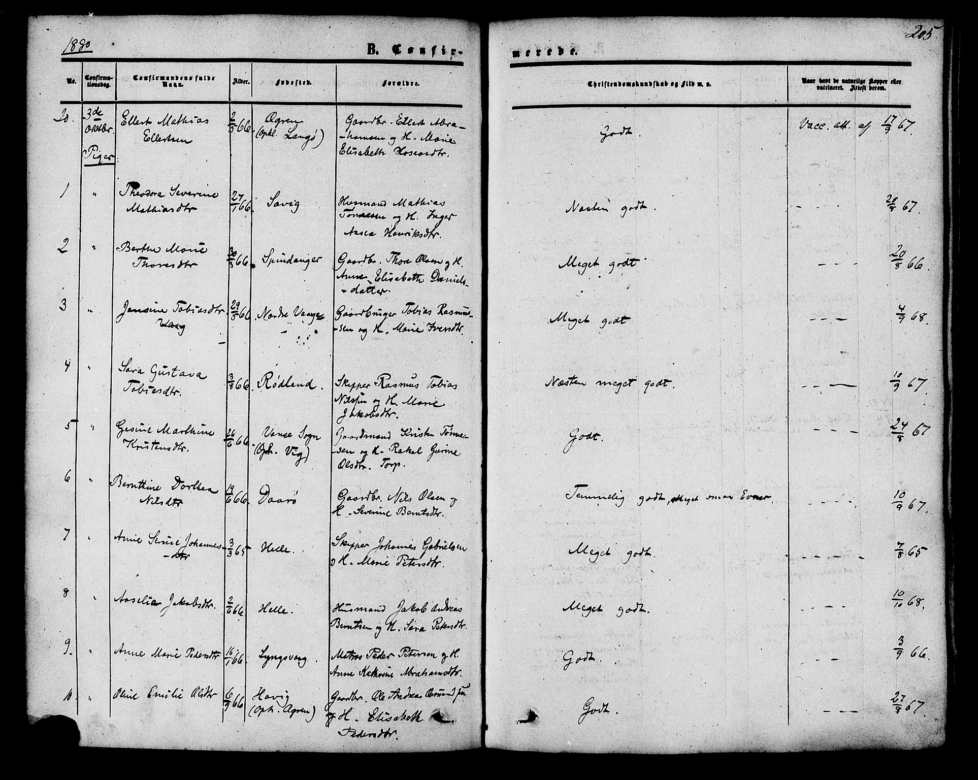 Herad sokneprestkontor, AV/SAK-1111-0018/F/Fa/Fab/L0004: Parish register (official) no. A 4, 1853-1885, p. 205