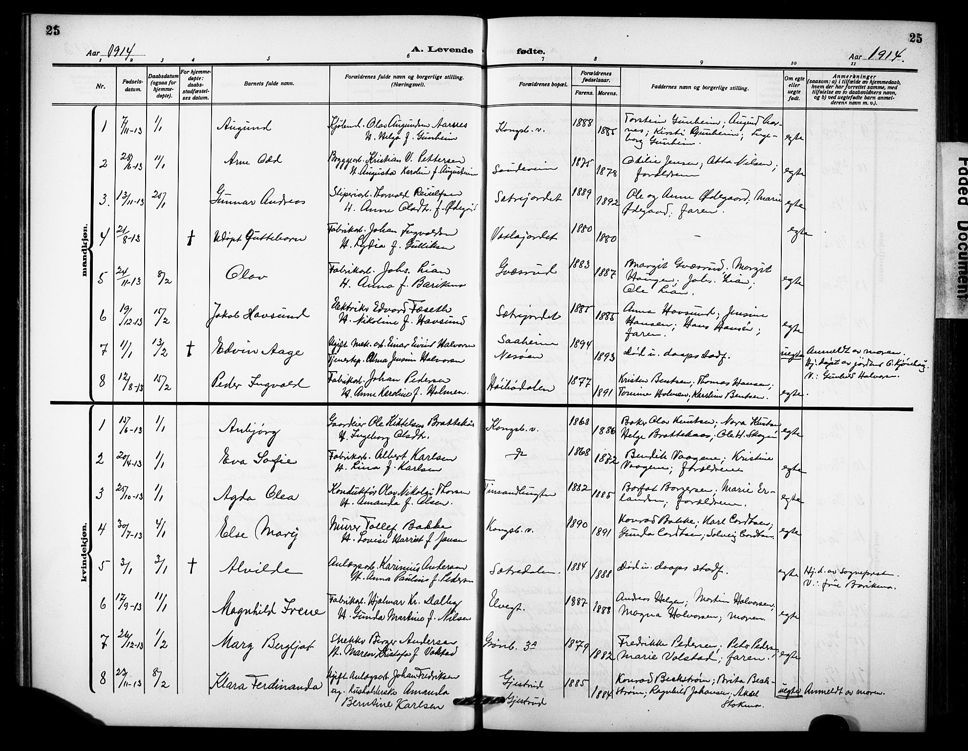 Notodden kirkebøker, AV/SAKO-A-290/G/Ga/L0001: Parish register (copy) no. 1, 1912-1923, p. 25