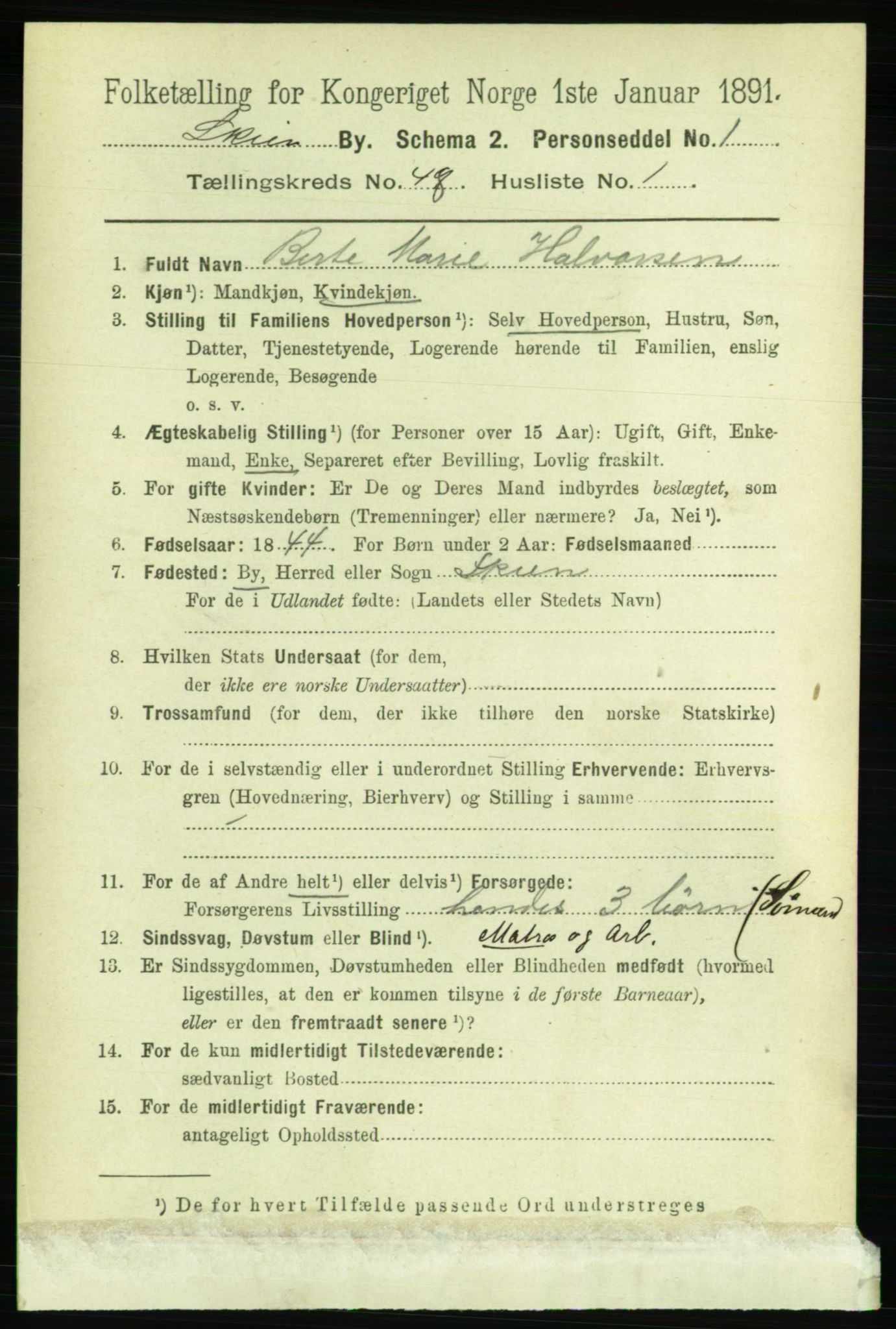 RA, 1891 census for 0806 Skien, 1891, p. 9824