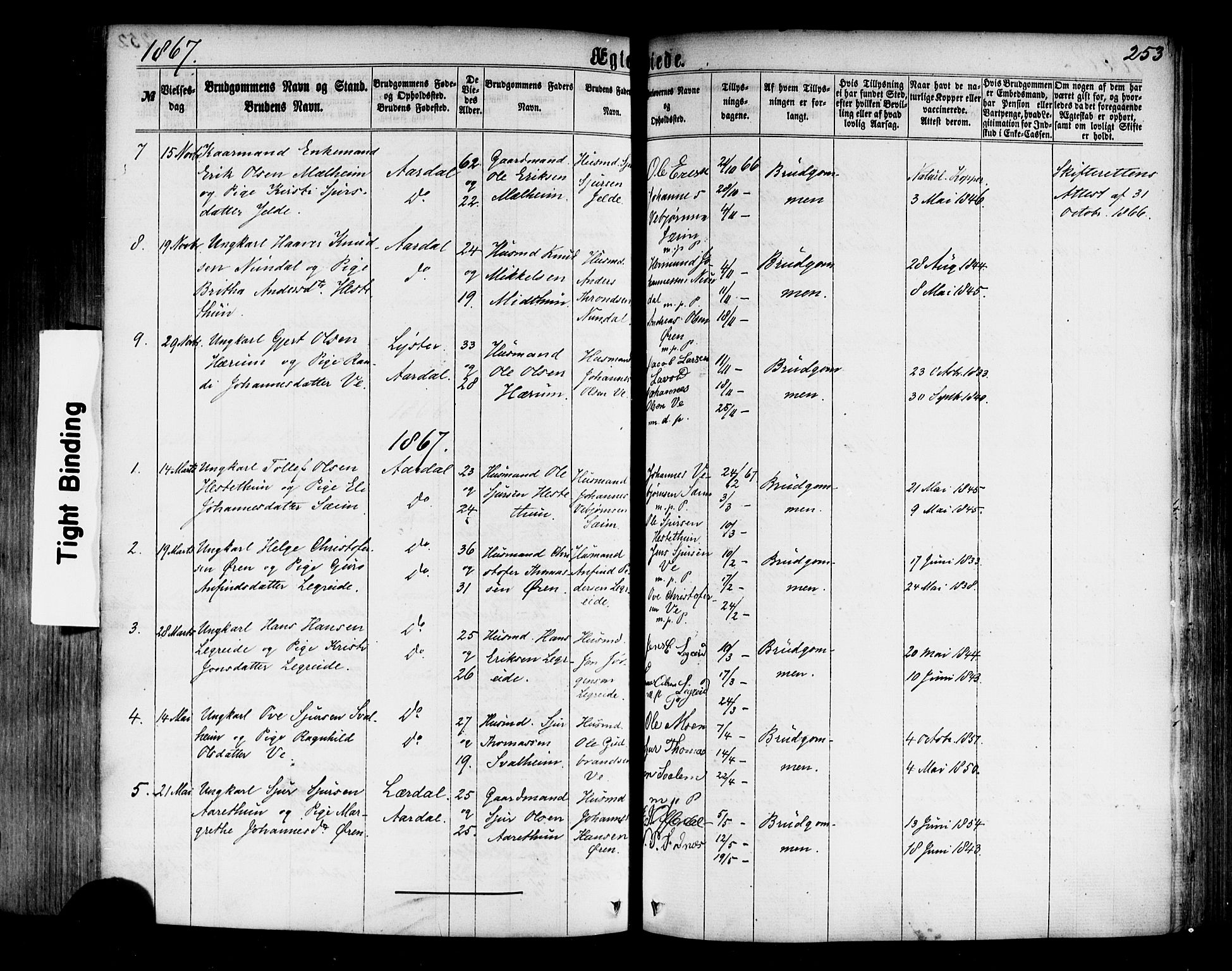 Årdal sokneprestembete, SAB/A-81701: Parish register (official) no. A 3, 1863-1886, p. 253