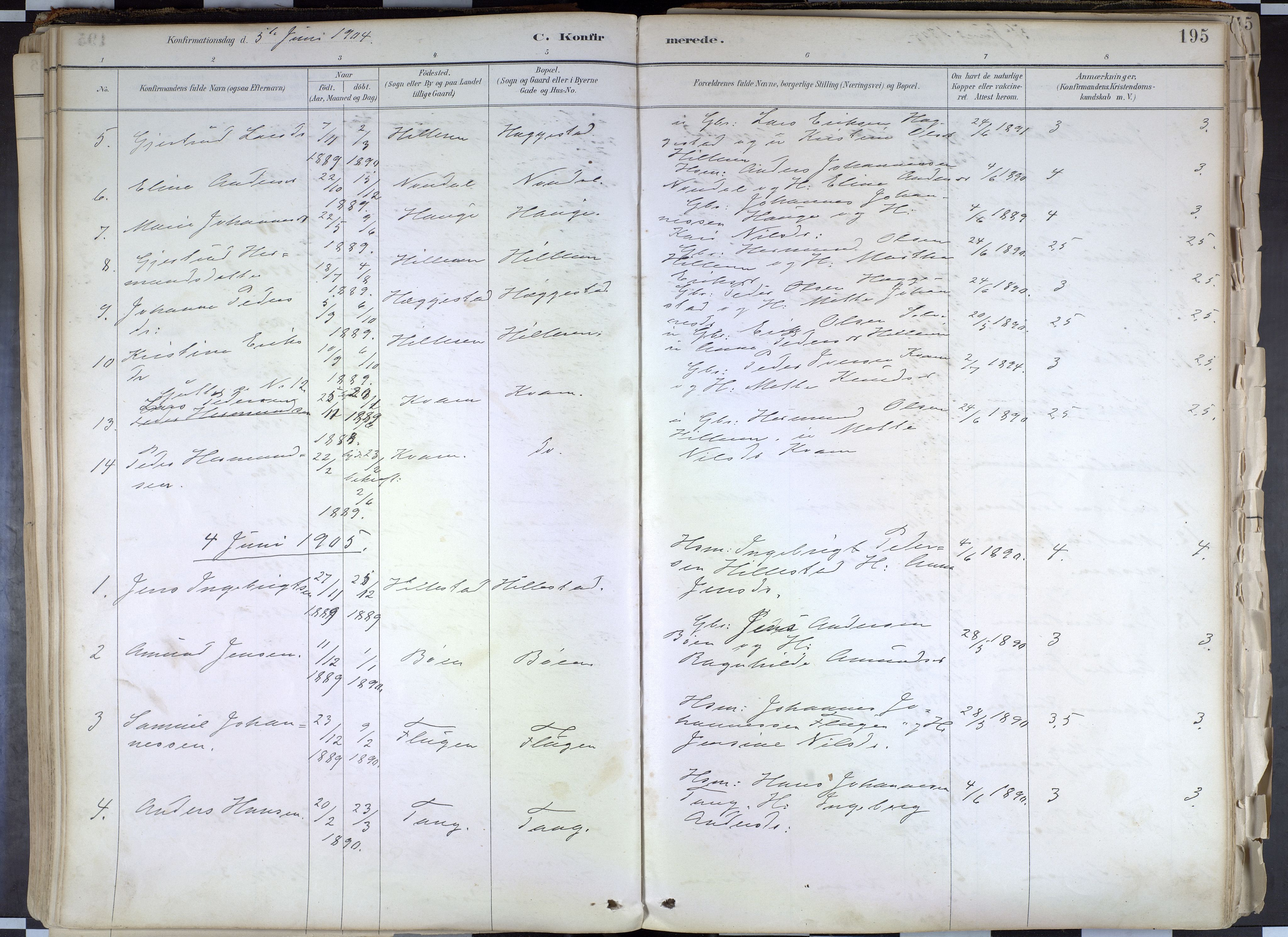 Hafslo sokneprestembete, AV/SAB-A-80301/H/Haa/Haab/L0001: Parish register (official) no. B 1, 1886-1945, p. 195