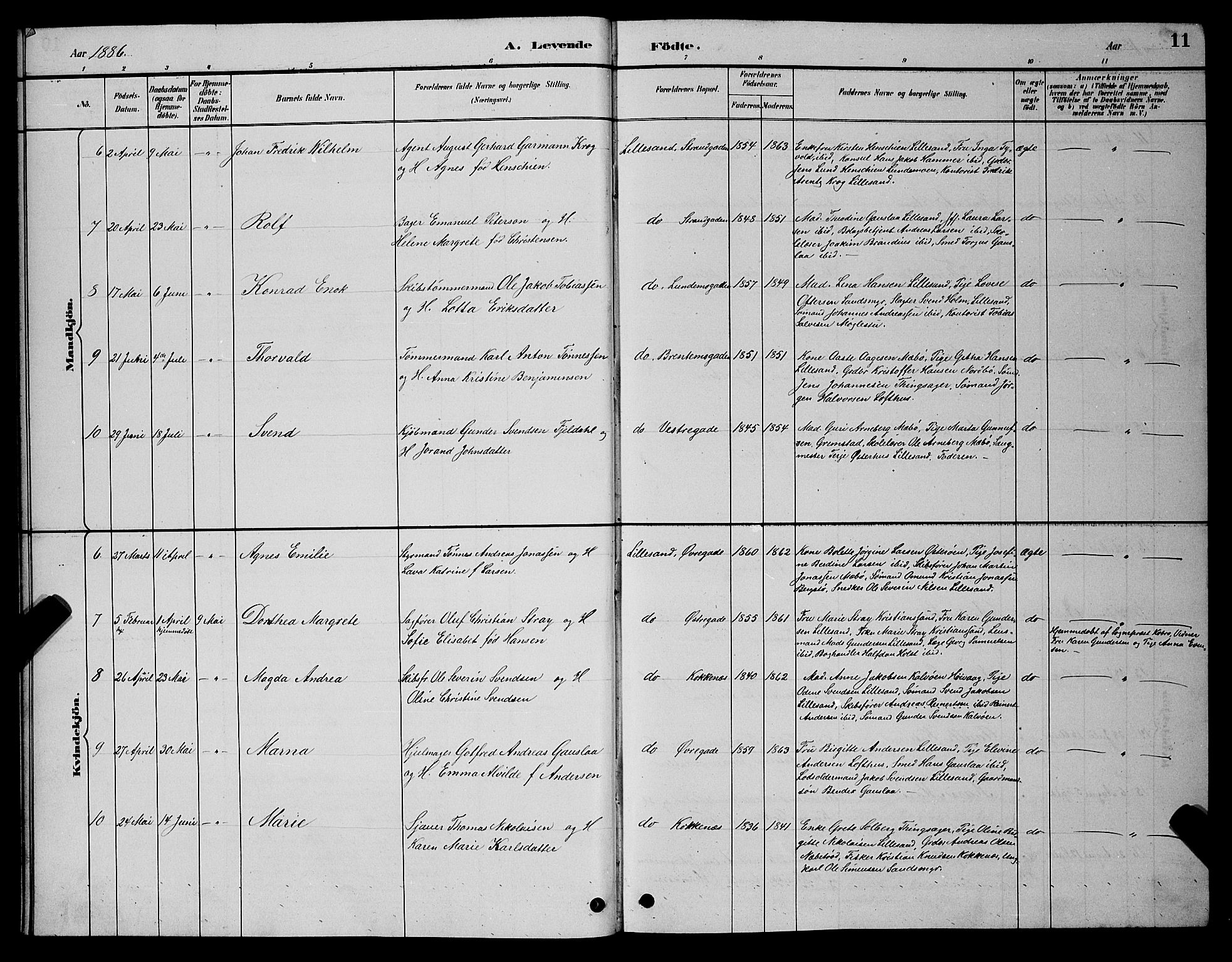 Vestre Moland sokneprestkontor, AV/SAK-1111-0046/F/Fb/Fba/L0001: Parish register (copy) no. B 1, 1884-1903, p. 11