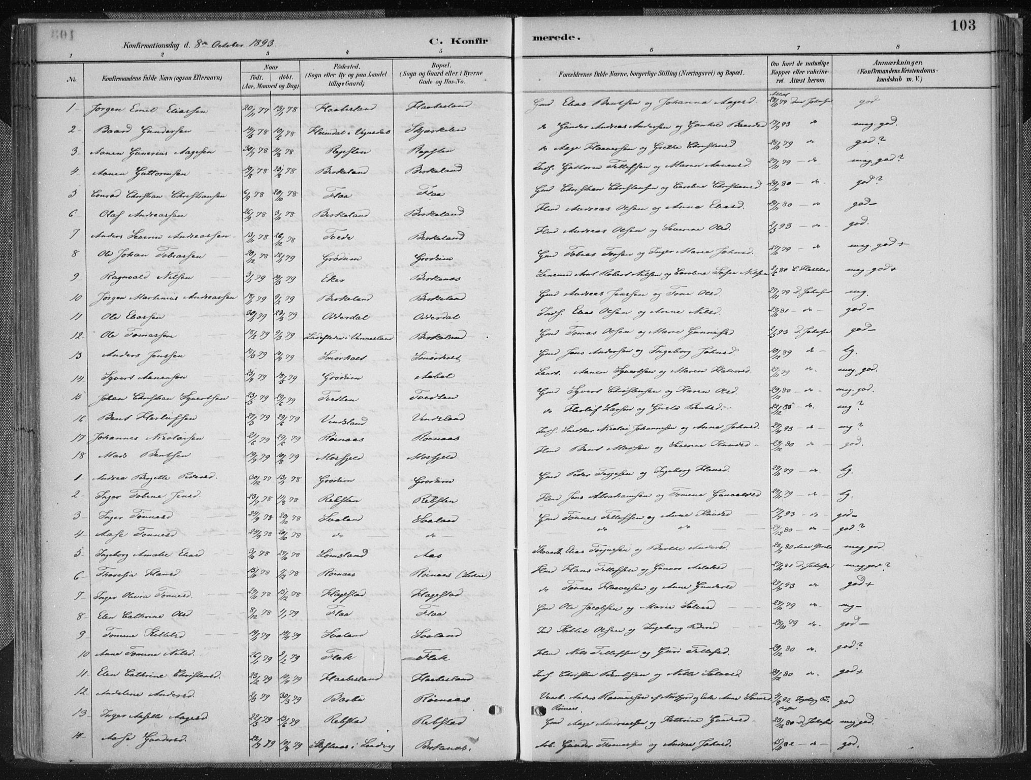 Birkenes sokneprestkontor, SAK/1111-0004/F/Fa/L0005: Parish register (official) no. A 5, 1887-1907, p. 103
