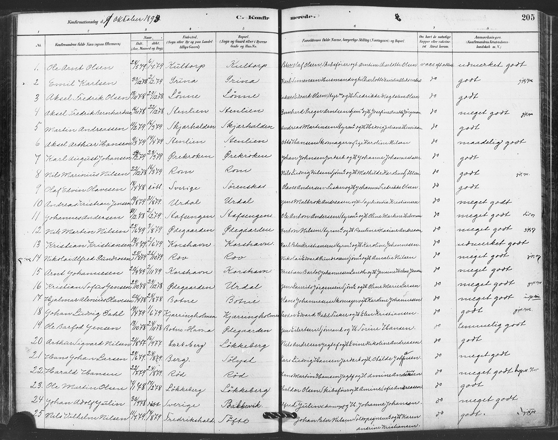Hvaler prestekontor Kirkebøker, SAO/A-2001/F/Fa/L0008: Parish register (official) no. I 8, 1878-1895, p. 205
