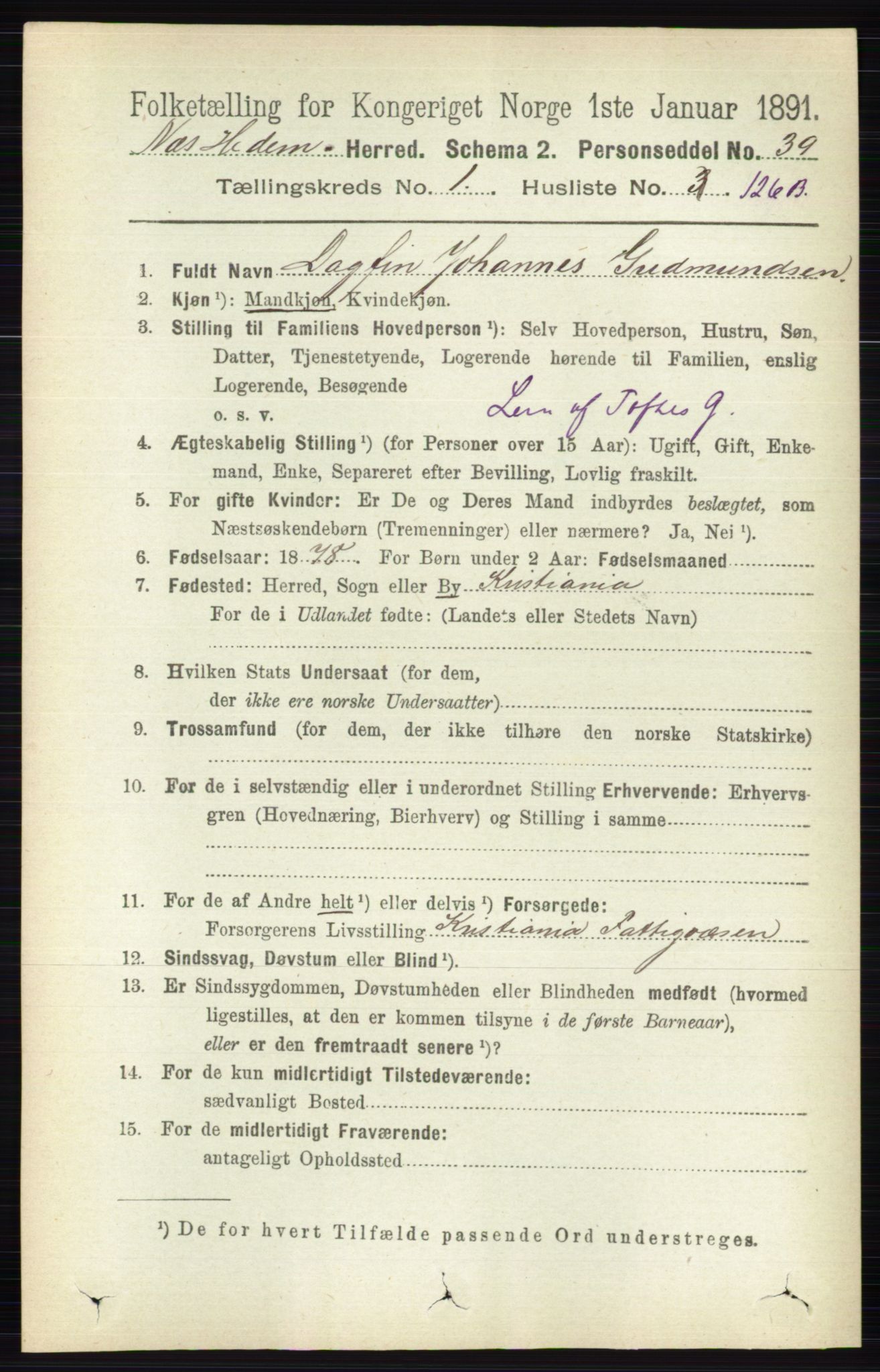 RA, 1891 census for 0411 Nes, 1891, p. 946