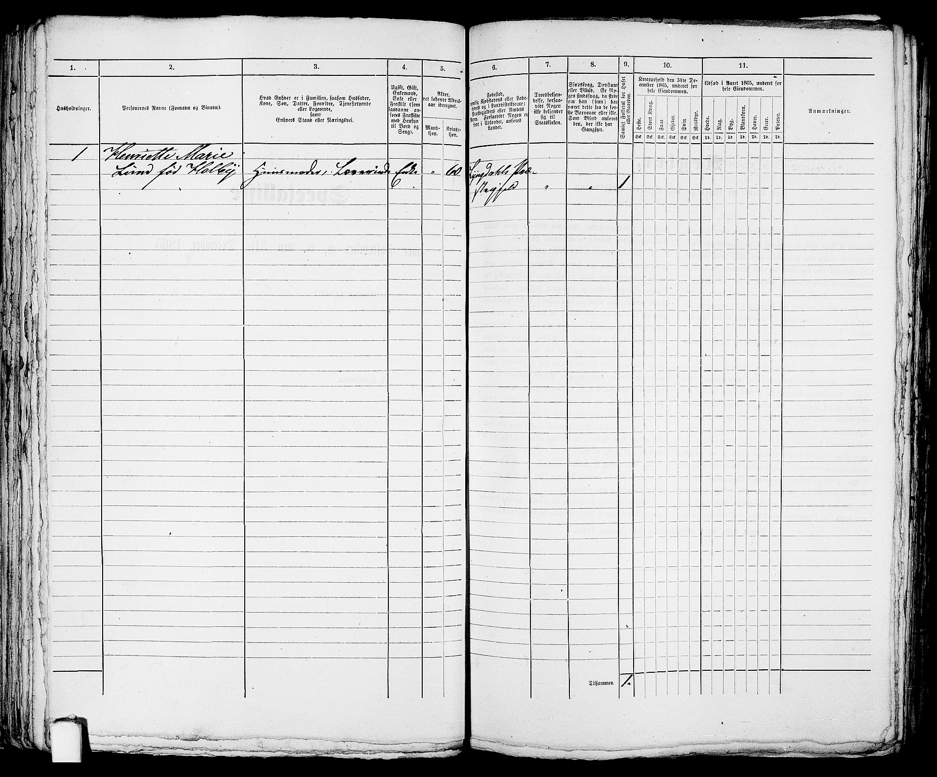 RA, 1865 census for Eigersund parish, Egersund town, 1865, p. 100
