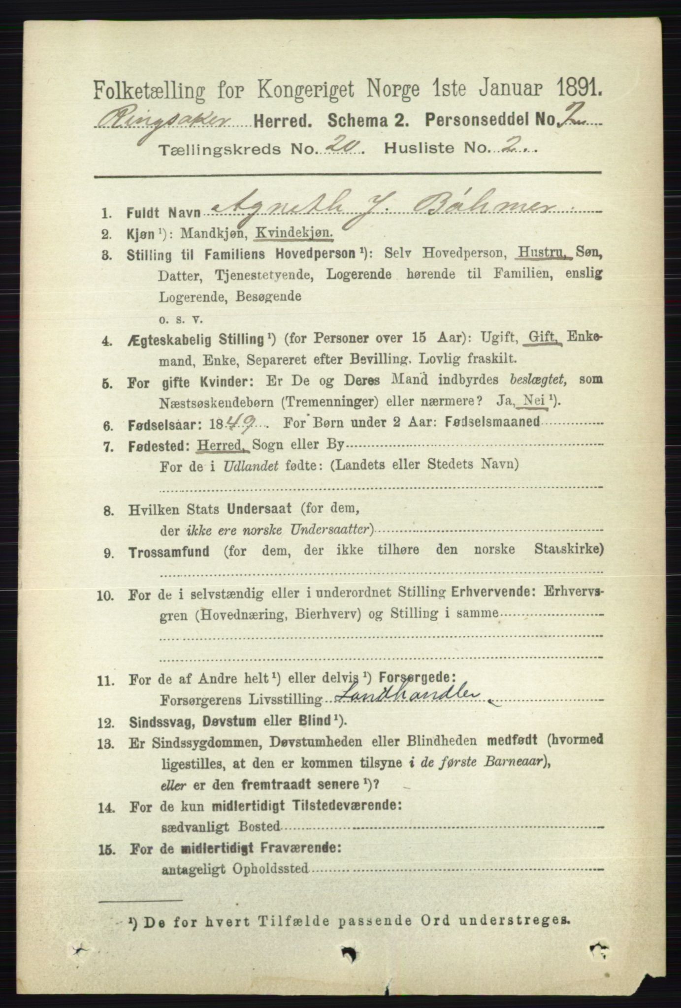 RA, 1891 census for 0412 Ringsaker, 1891, p. 11110