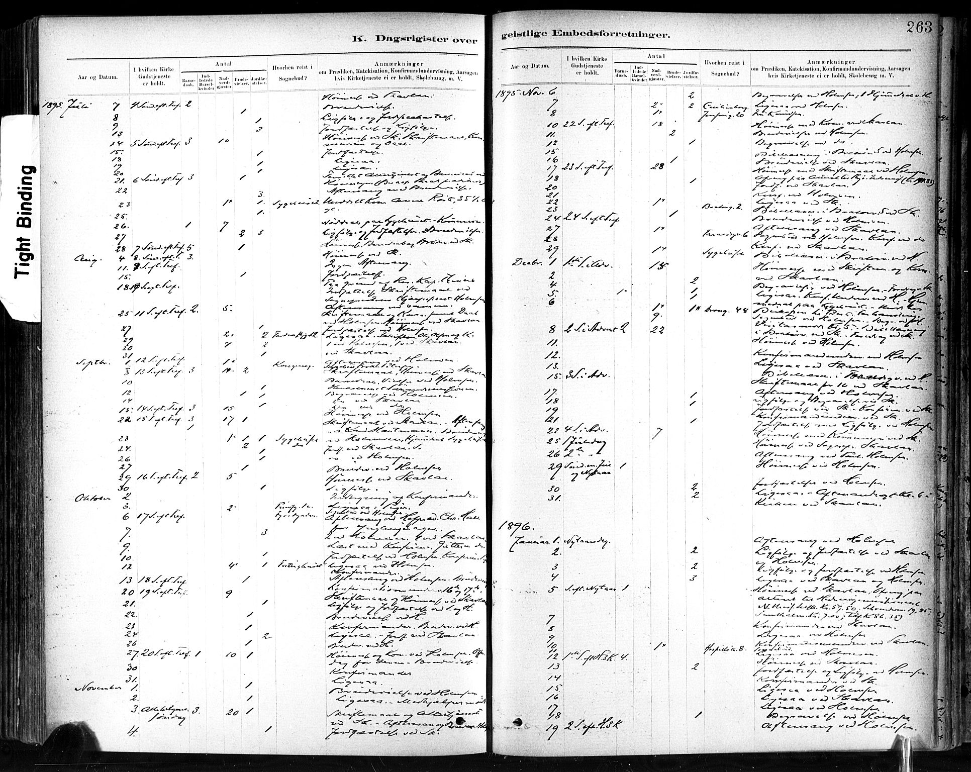Ministerialprotokoller, klokkerbøker og fødselsregistre - Sør-Trøndelag, SAT/A-1456/602/L0120: Parish register (official) no. 602A18, 1880-1913, p. 263