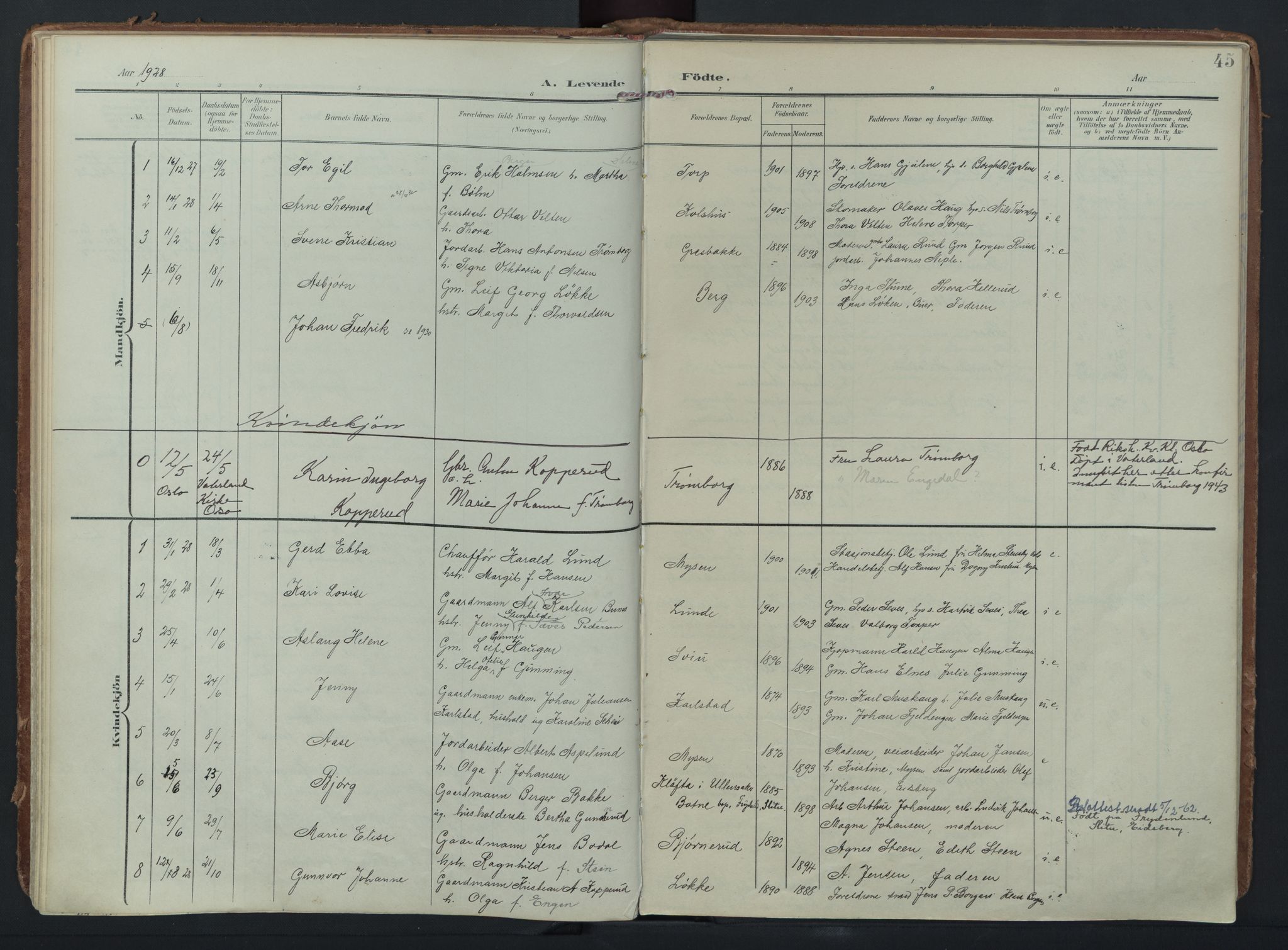 Eidsberg prestekontor Kirkebøker, AV/SAO-A-10905/F/Fc/L0002: Parish register (official) no. III 2, 1906-1934, p. 45