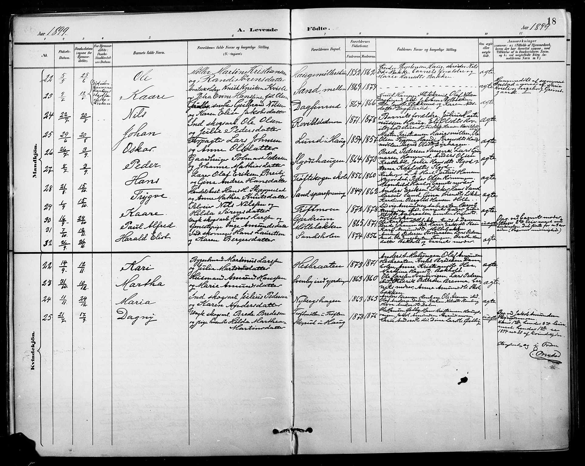 Nord-Odal prestekontor, AV/SAH-PREST-032/H/Ha/Hab/L0003: Parish register (copy) no. 3, 1895-1923, p. 18