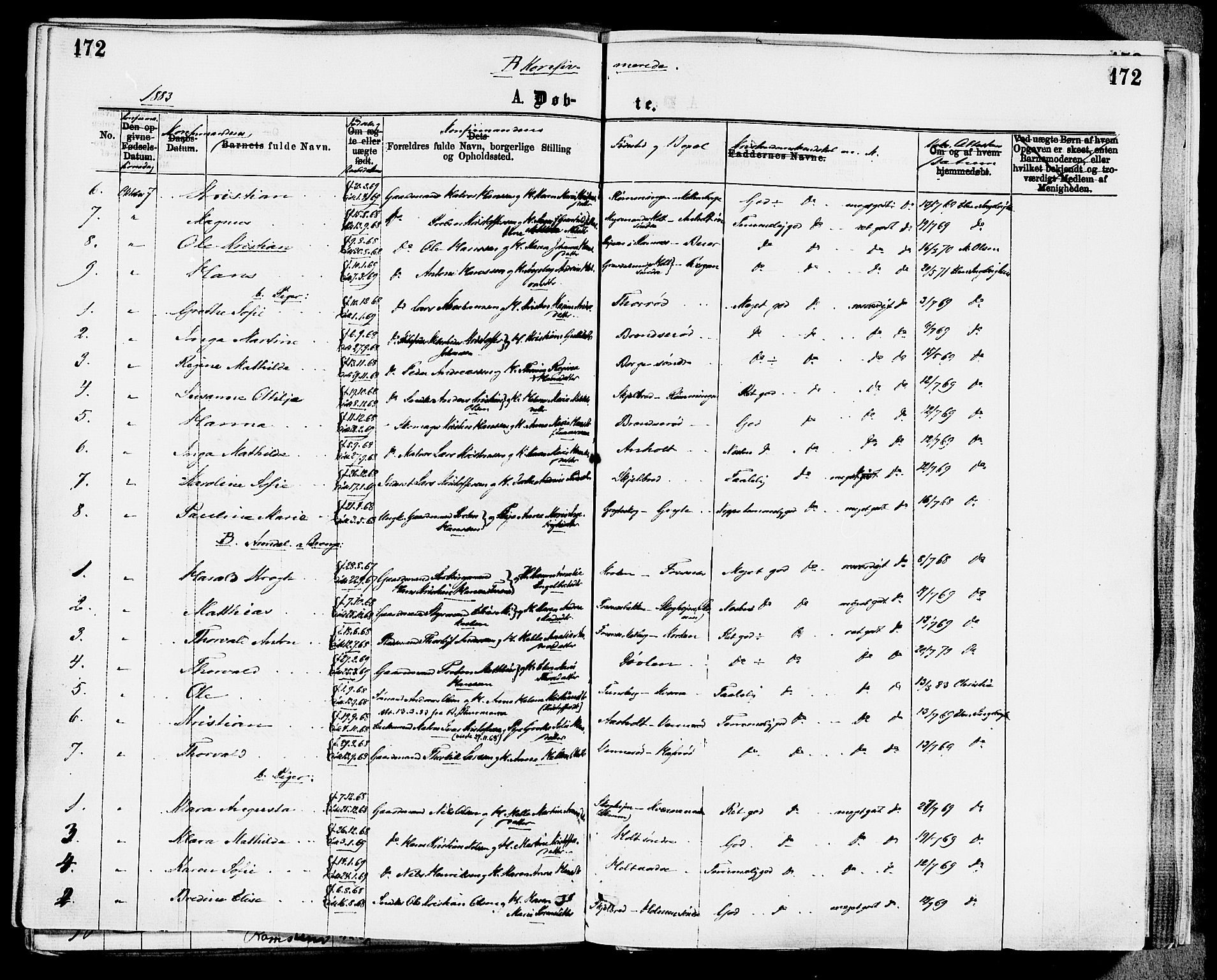 Stokke kirkebøker, SAKO/A-320/F/Fa/L0009: Parish register (official) no. I 9, 1872-1883, p. 172