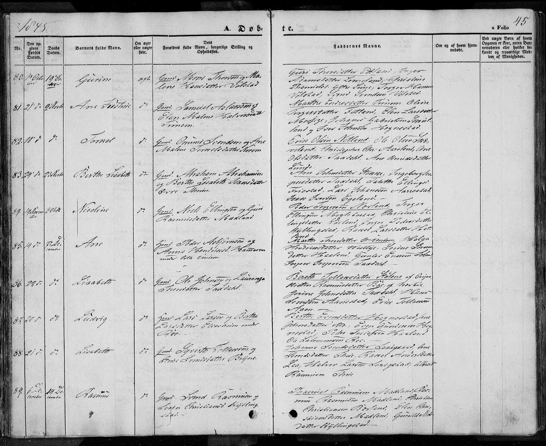 Lye sokneprestkontor, AV/SAST-A-101794/001/30BA/L0005: Parish register (official) no. A 5.1, 1842-1855, p. 45