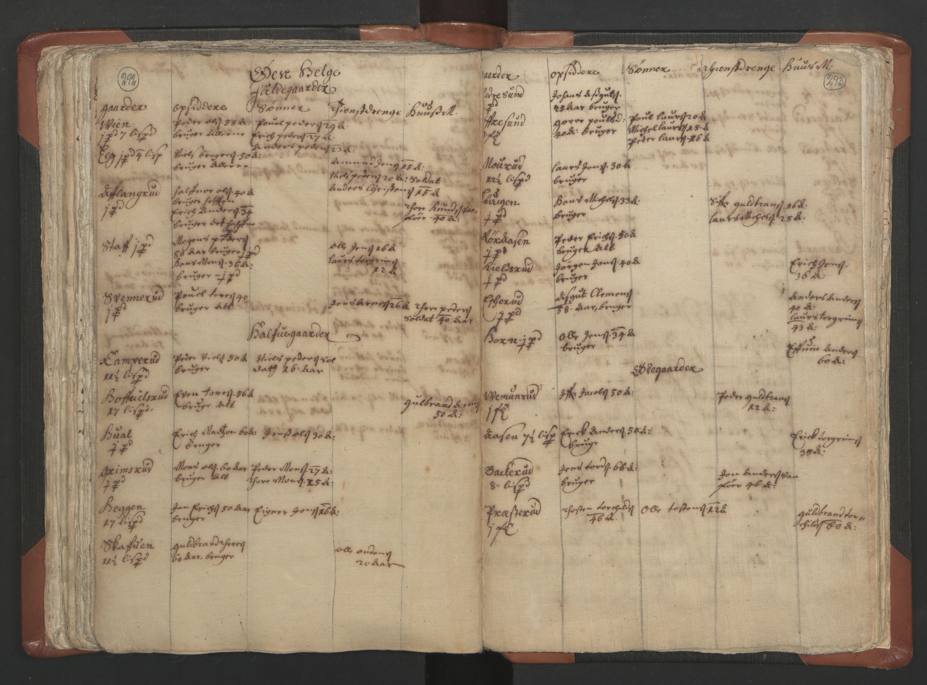RA, Vicar's Census 1664-1666, no. 5: Hedmark deanery, 1664-1666, p. 292-293