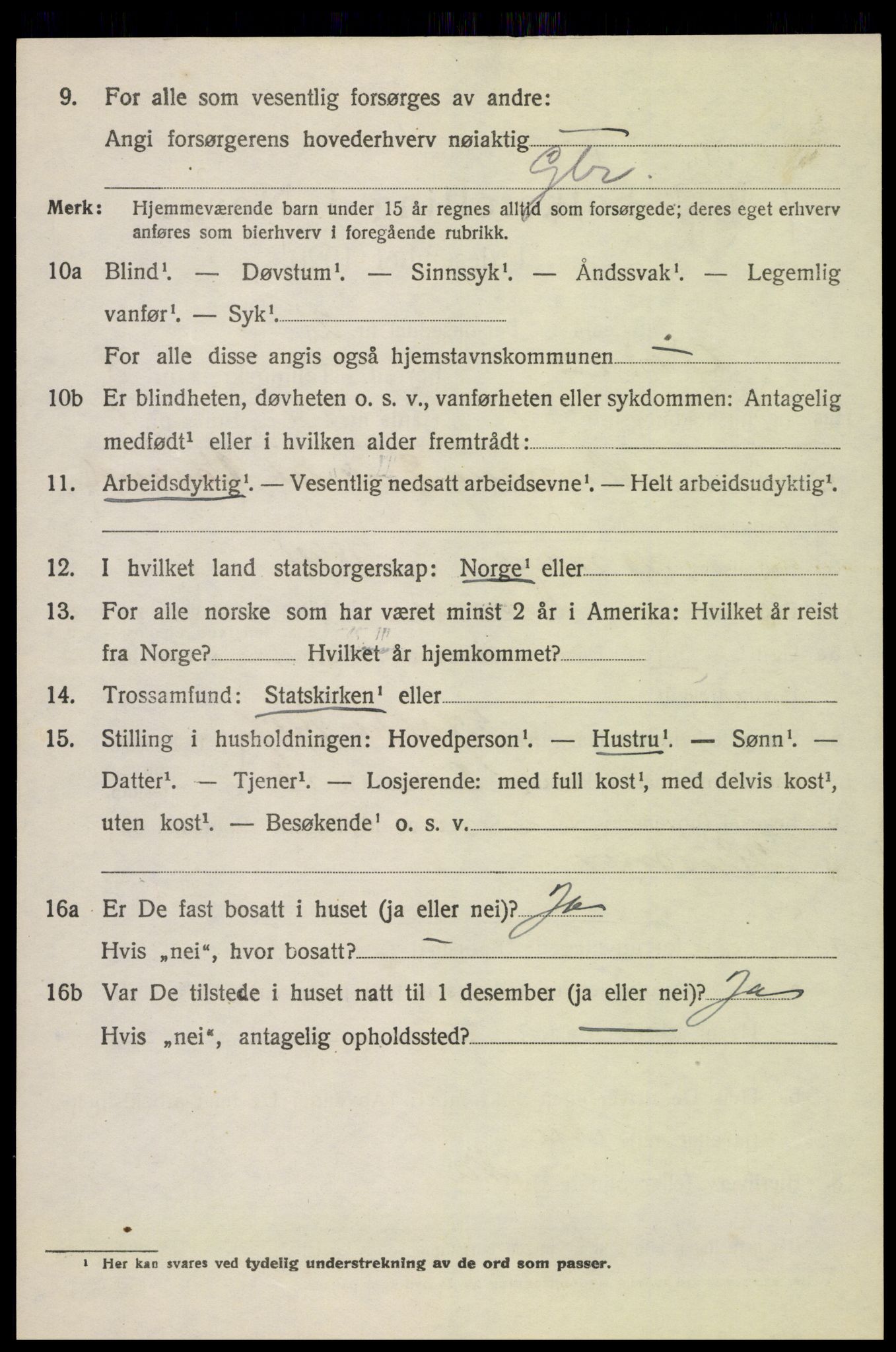 SAH, 1920 census for Øyer, 1920, p. 6713