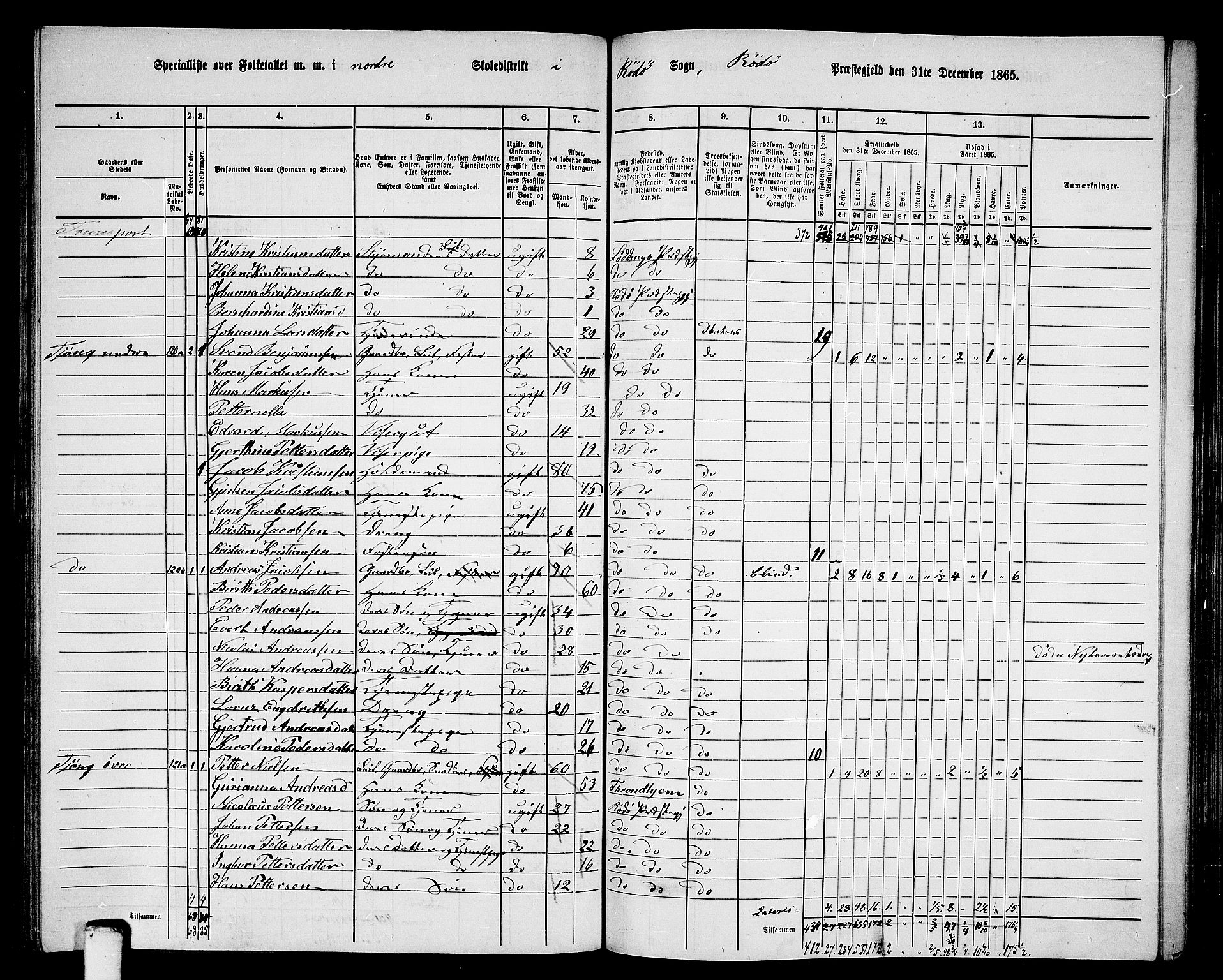 RA, 1865 census for Rødøy, 1865, p. 62