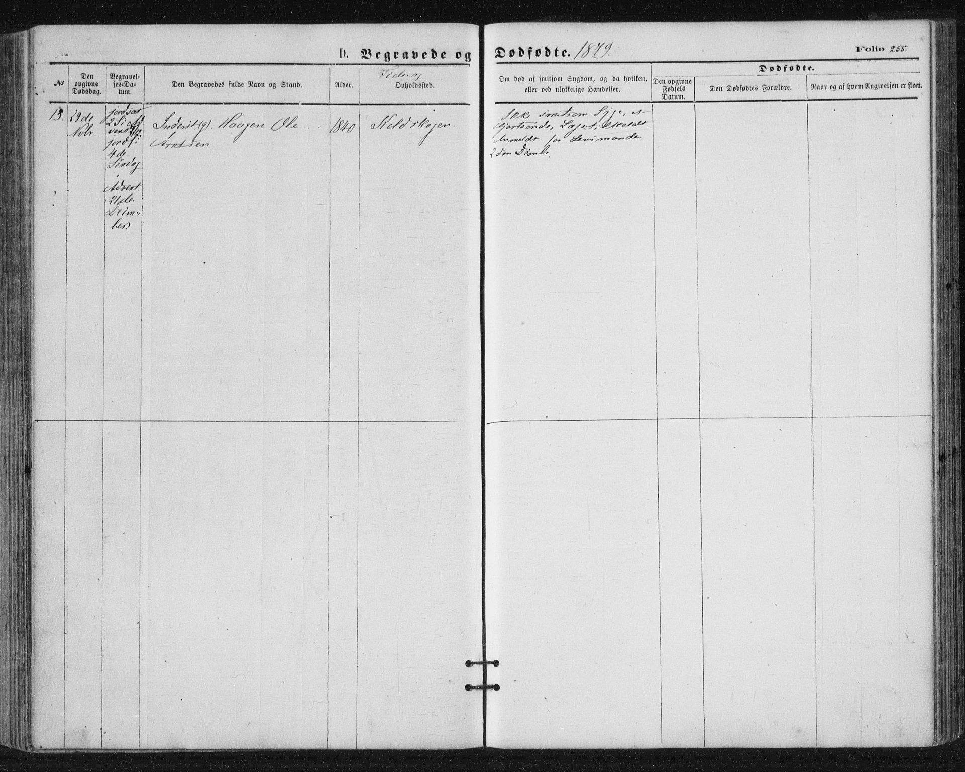 Ministerialprotokoller, klokkerbøker og fødselsregistre - Nordland, SAT/A-1459/816/L0241: Parish register (official) no. 816A07, 1870-1885, p. 255