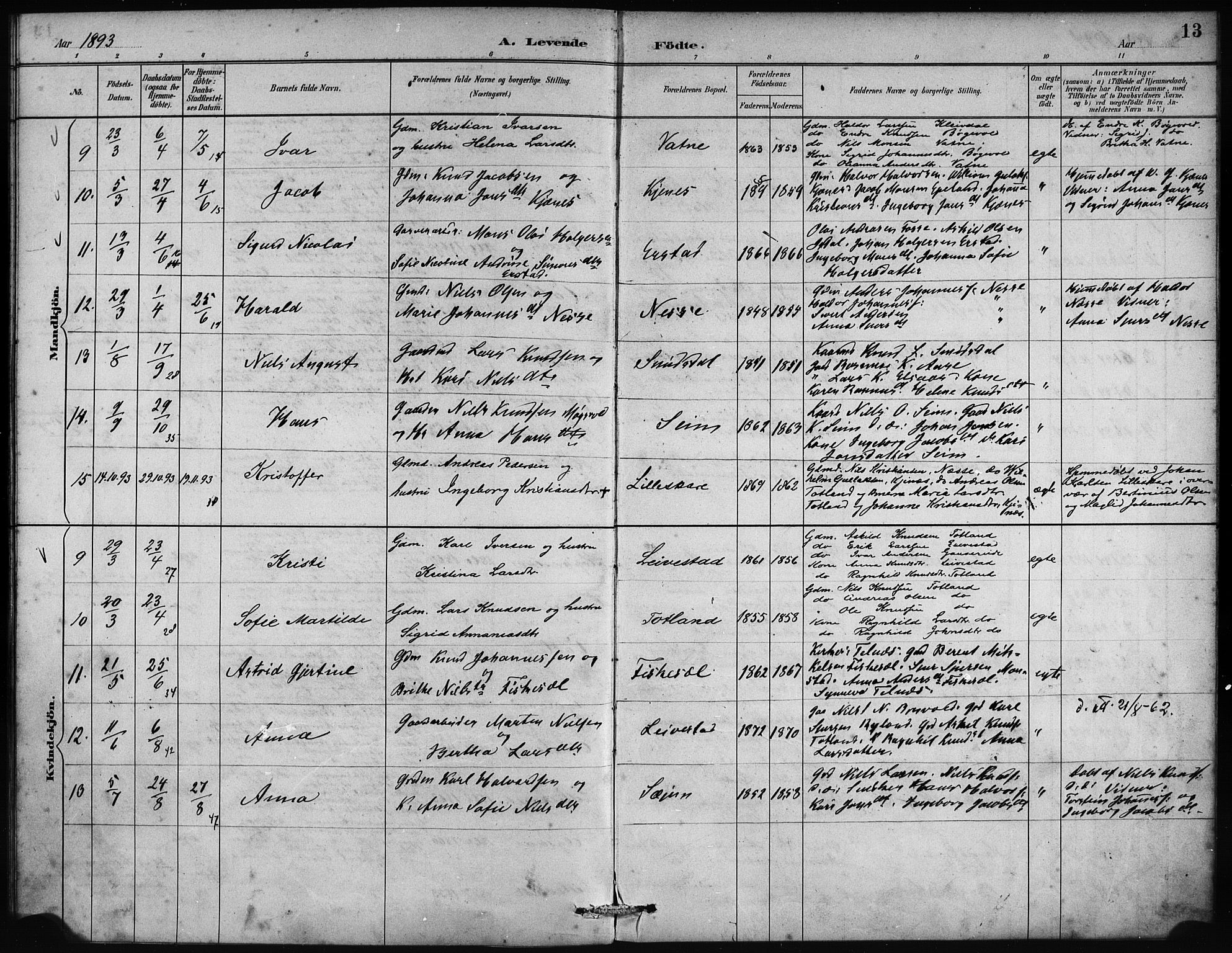 Alversund Sokneprestembete, AV/SAB-A-73901/H/Ha/Haa/Haad/L0002: Parish register (official) no. D 2, 1890-1897, p. 13