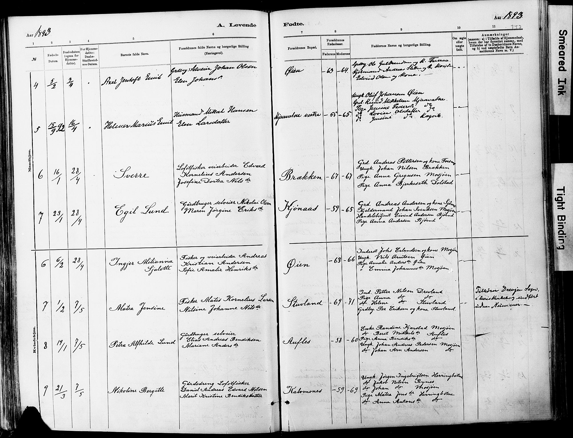 Ministerialprotokoller, klokkerbøker og fødselsregistre - Nordland, SAT/A-1459/820/L0295: Parish register (official) no. 820A16, 1880-1896, p. 117