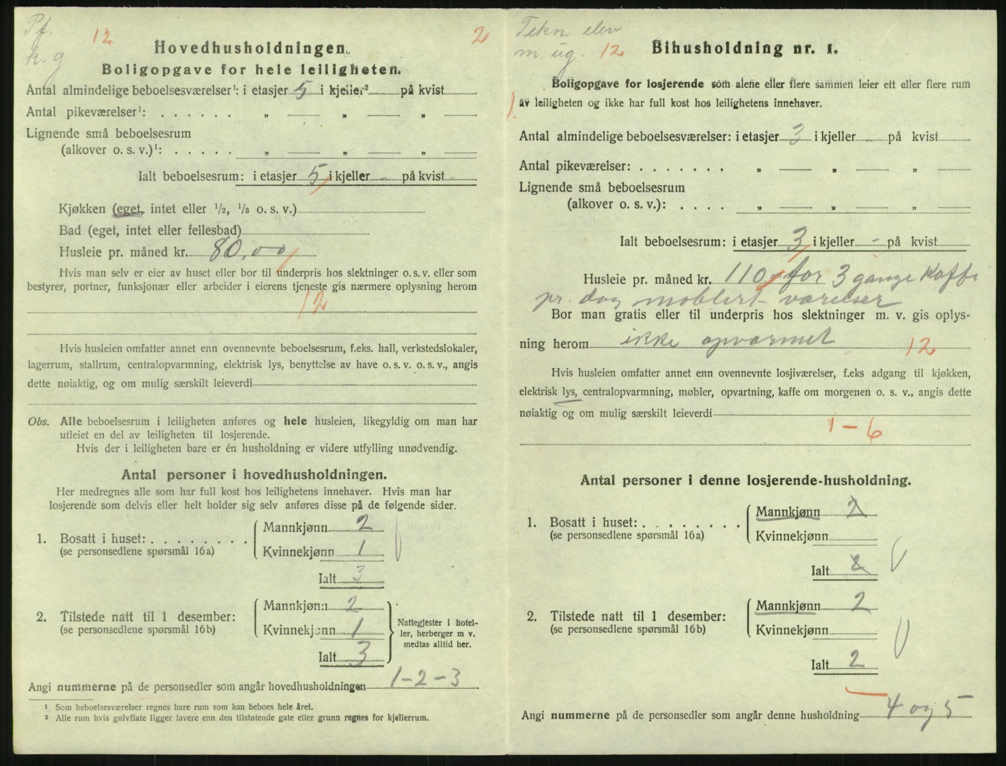 SAKO, 1920 census for Horten, 1920, p. 4966