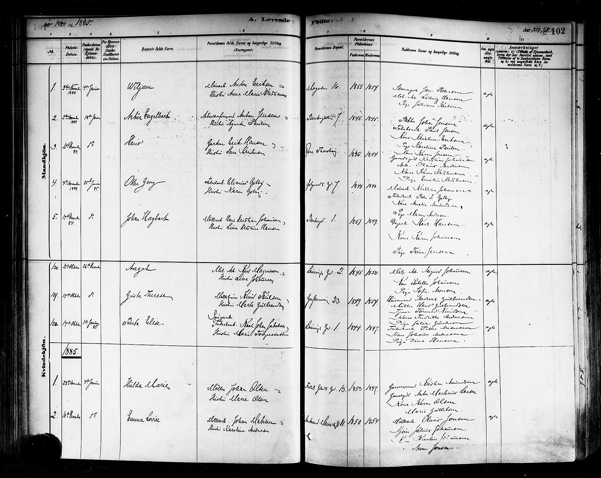 Sagene prestekontor Kirkebøker, AV/SAO-A-10796/F/L0001: Parish register (official) no. 1, 1880-1893, p. 102