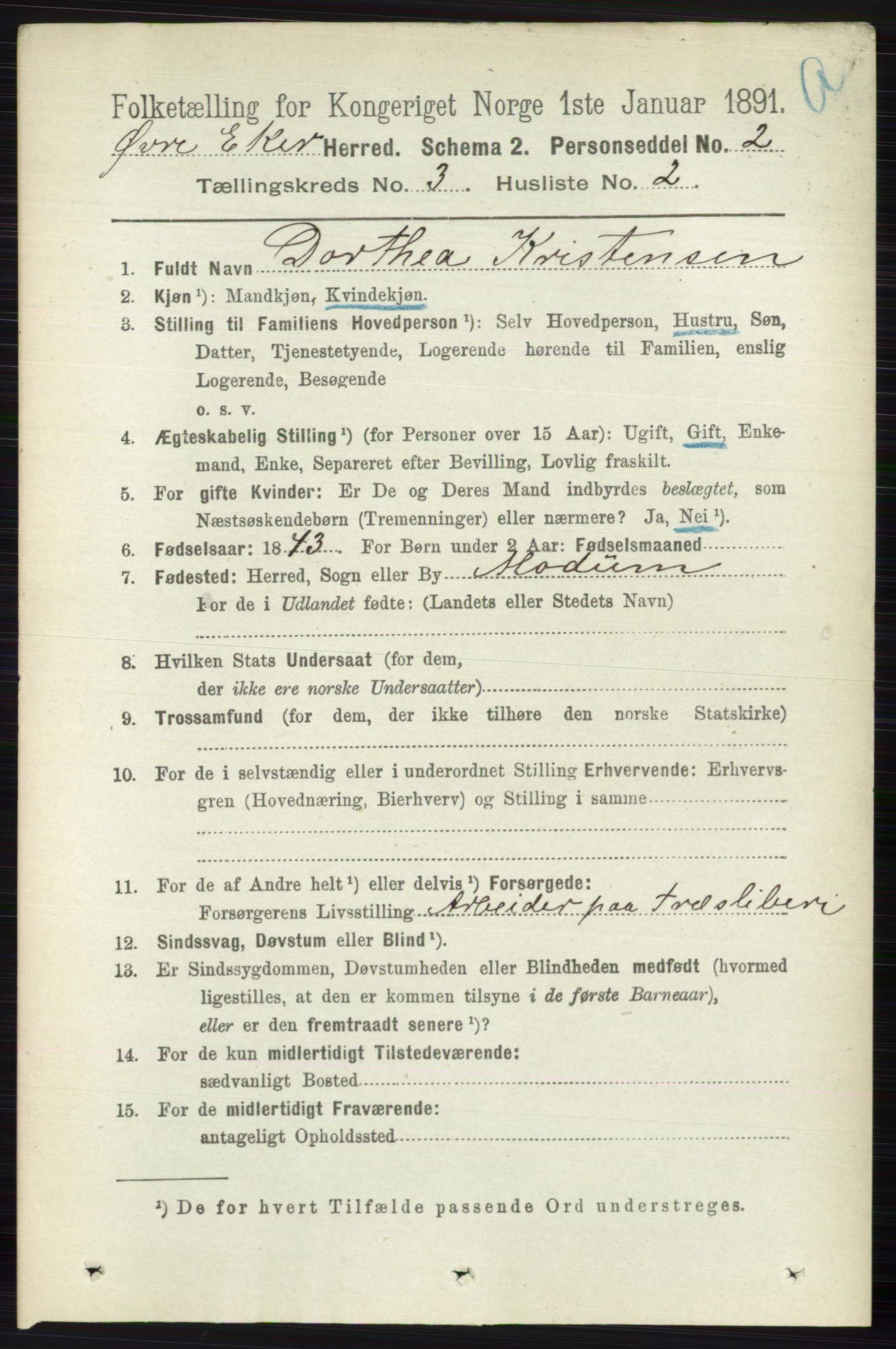 RA, 1891 census for 0624 Øvre Eiker, 1891, p. 995