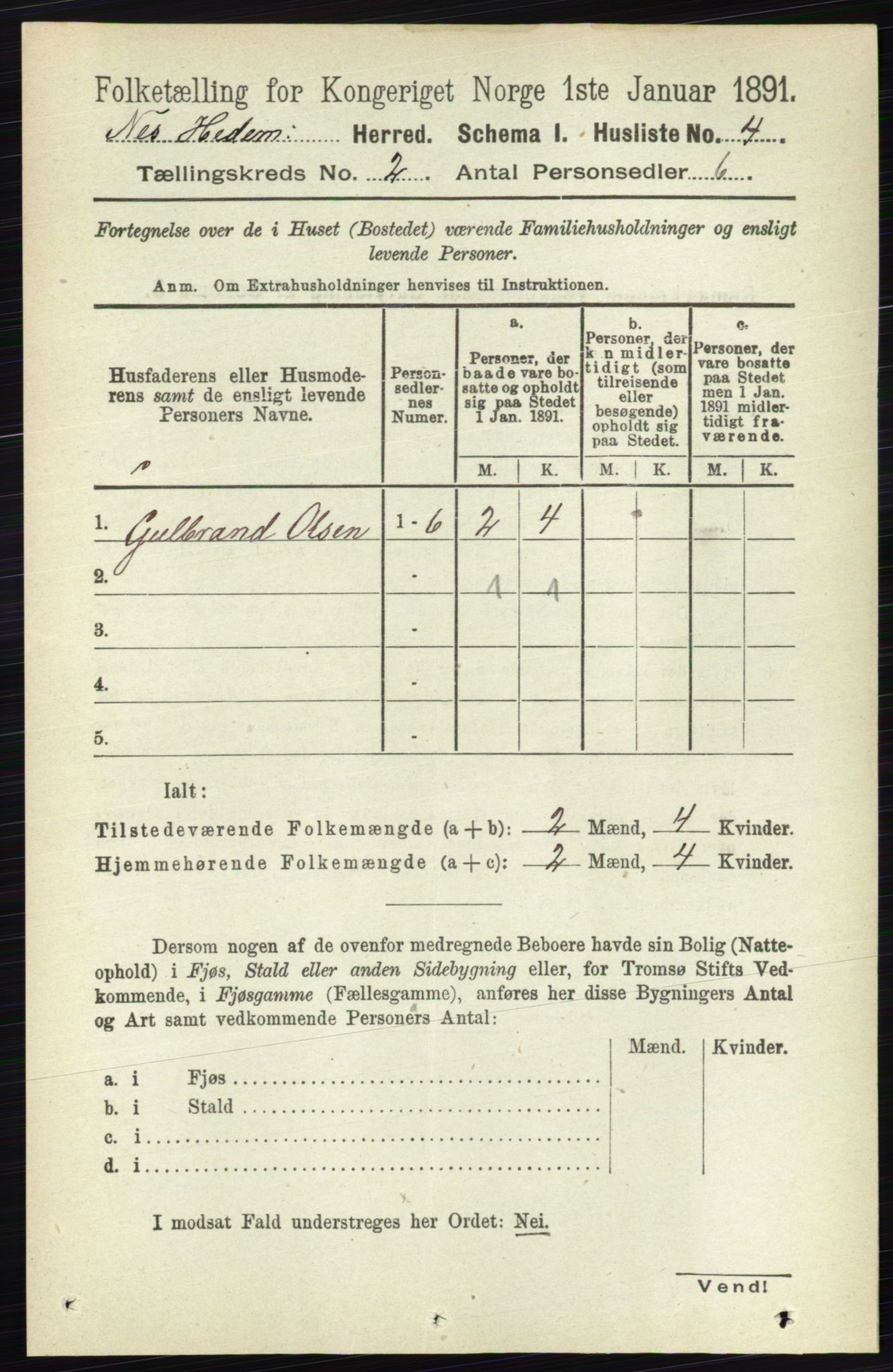 RA, 1891 census for 0411 Nes, 1891, p. 1007