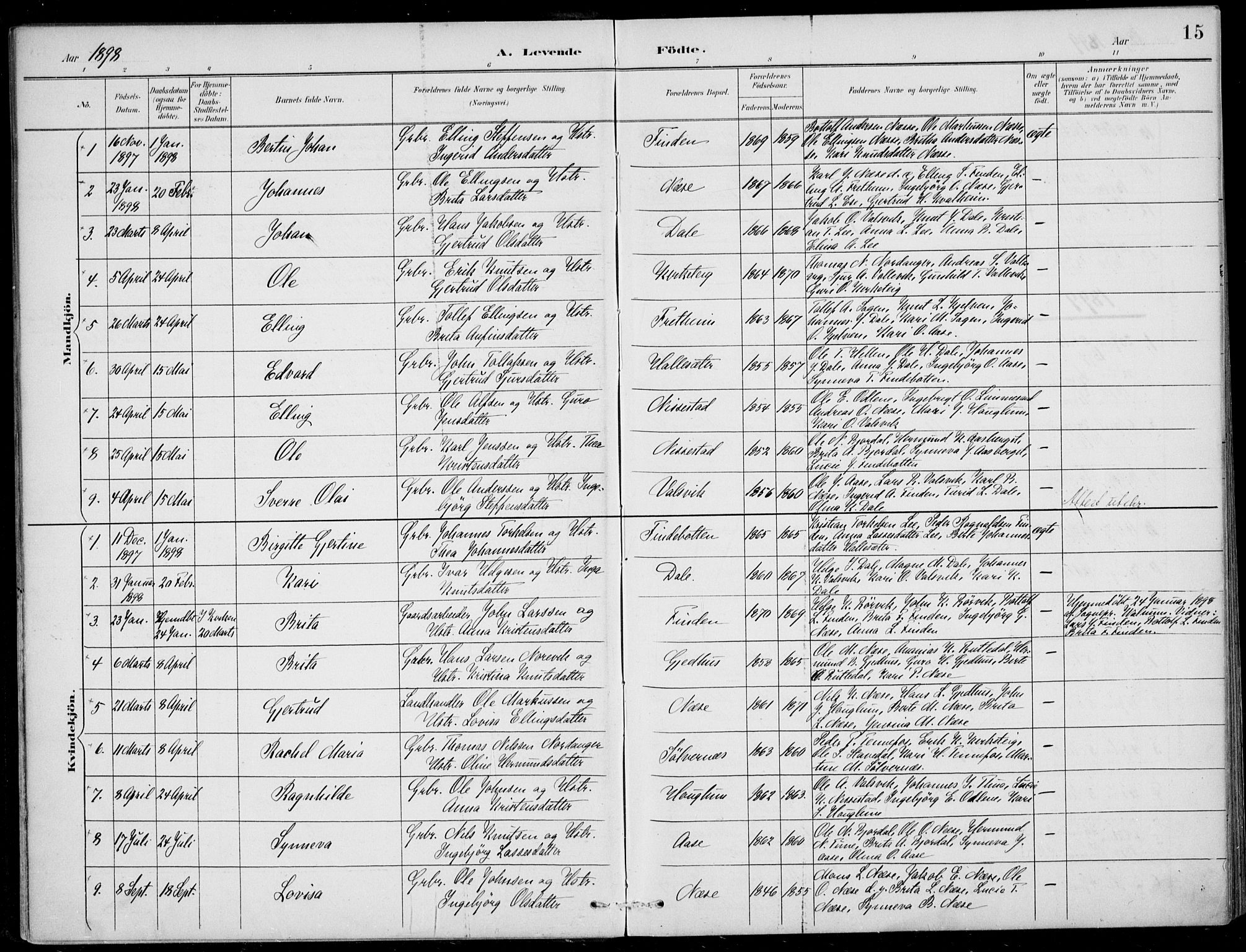 Vik sokneprestembete, AV/SAB-A-81501/H/Haa/Haac/L0002: Parish register (official) no. C  2, 1891-1910, p. 15