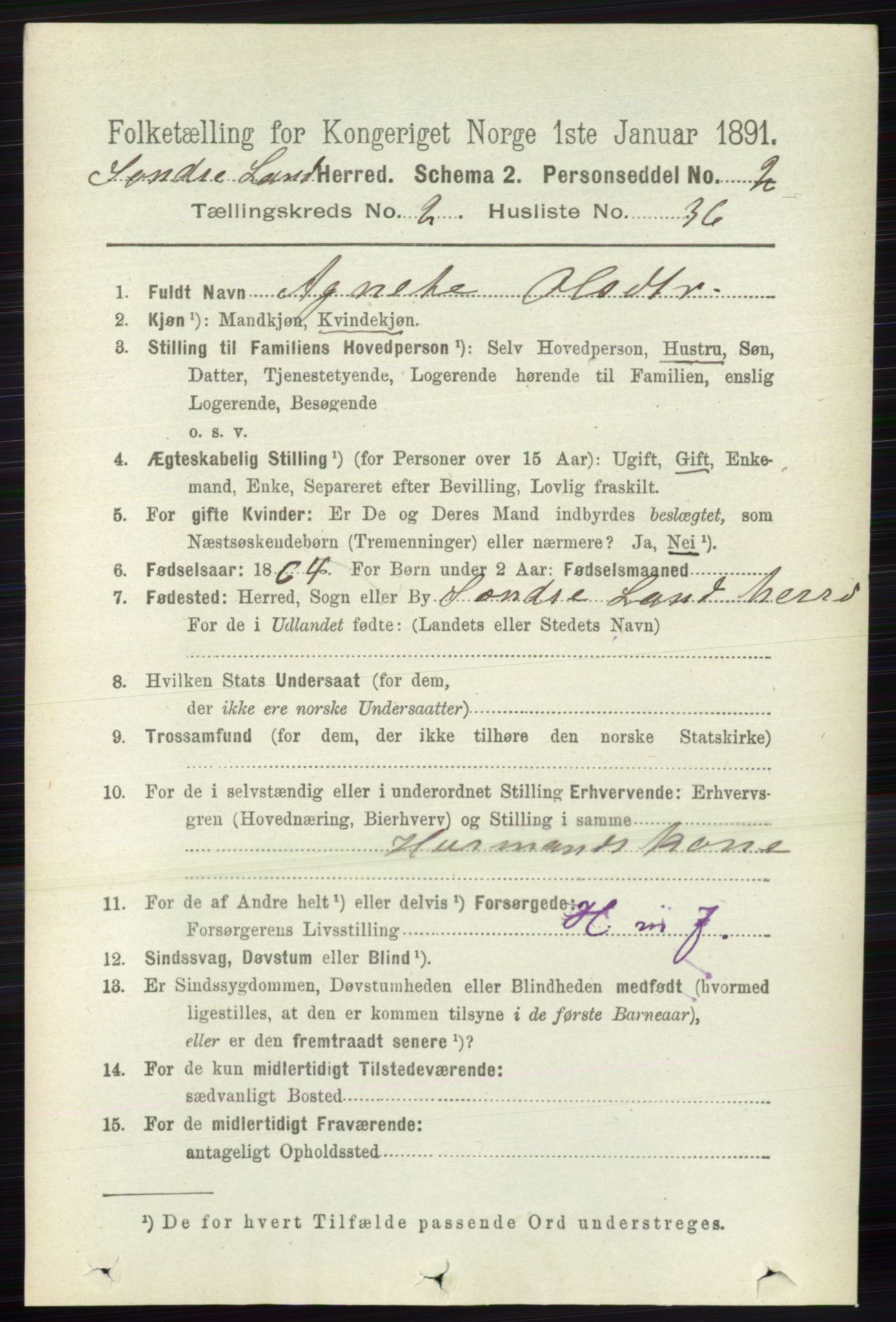 RA, 1891 census for 0536 Søndre Land, 1891, p. 1261