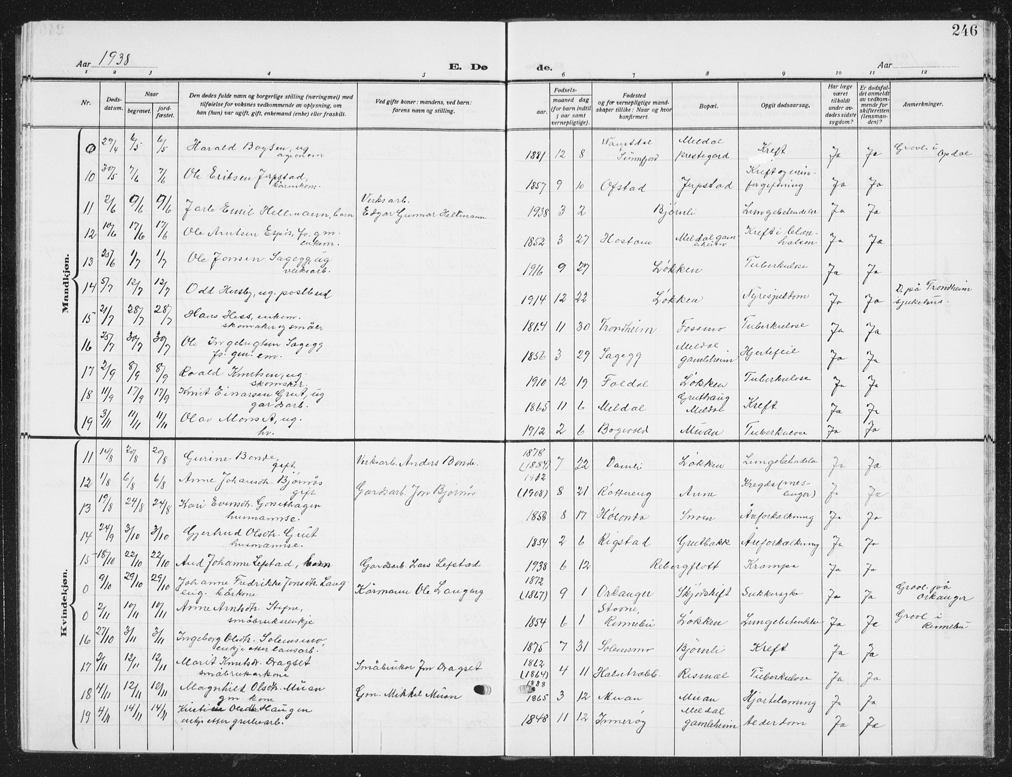 Ministerialprotokoller, klokkerbøker og fødselsregistre - Sør-Trøndelag, SAT/A-1456/672/L0866: Parish register (copy) no. 672C05, 1929-1939, p. 246