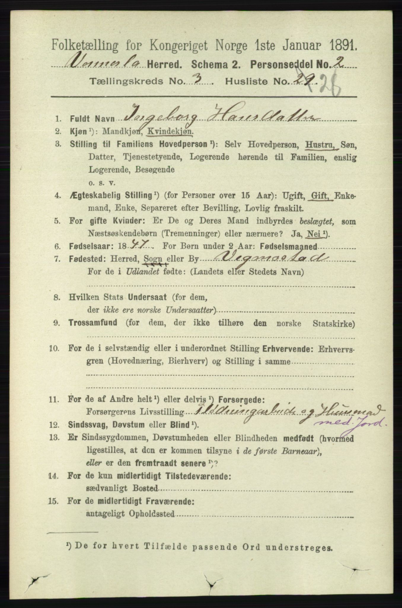 RA, 1891 census for 1014 Vennesla, 1891, p. 816