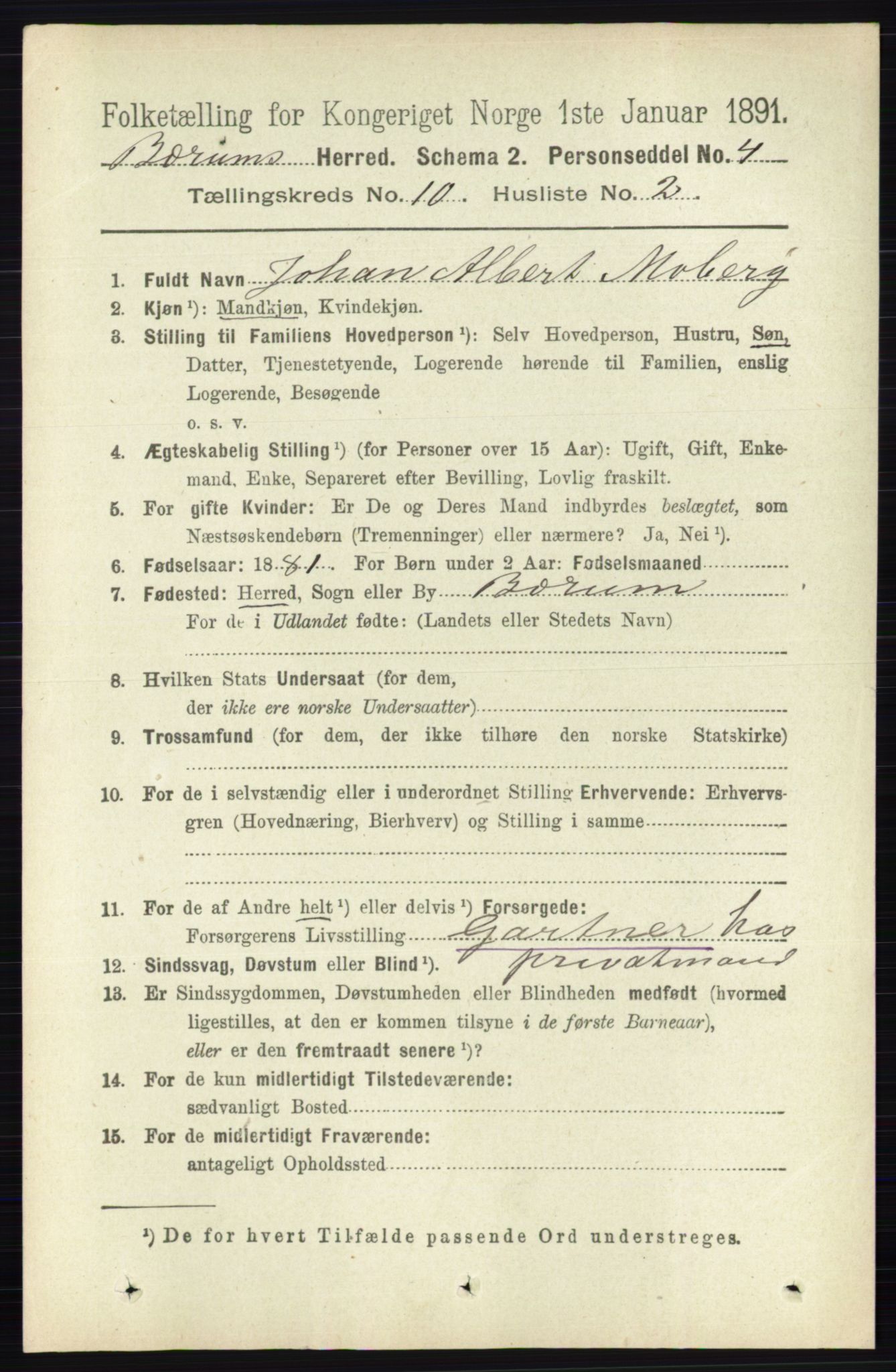 RA, 1891 census for 0219 Bærum, 1891, p. 6379