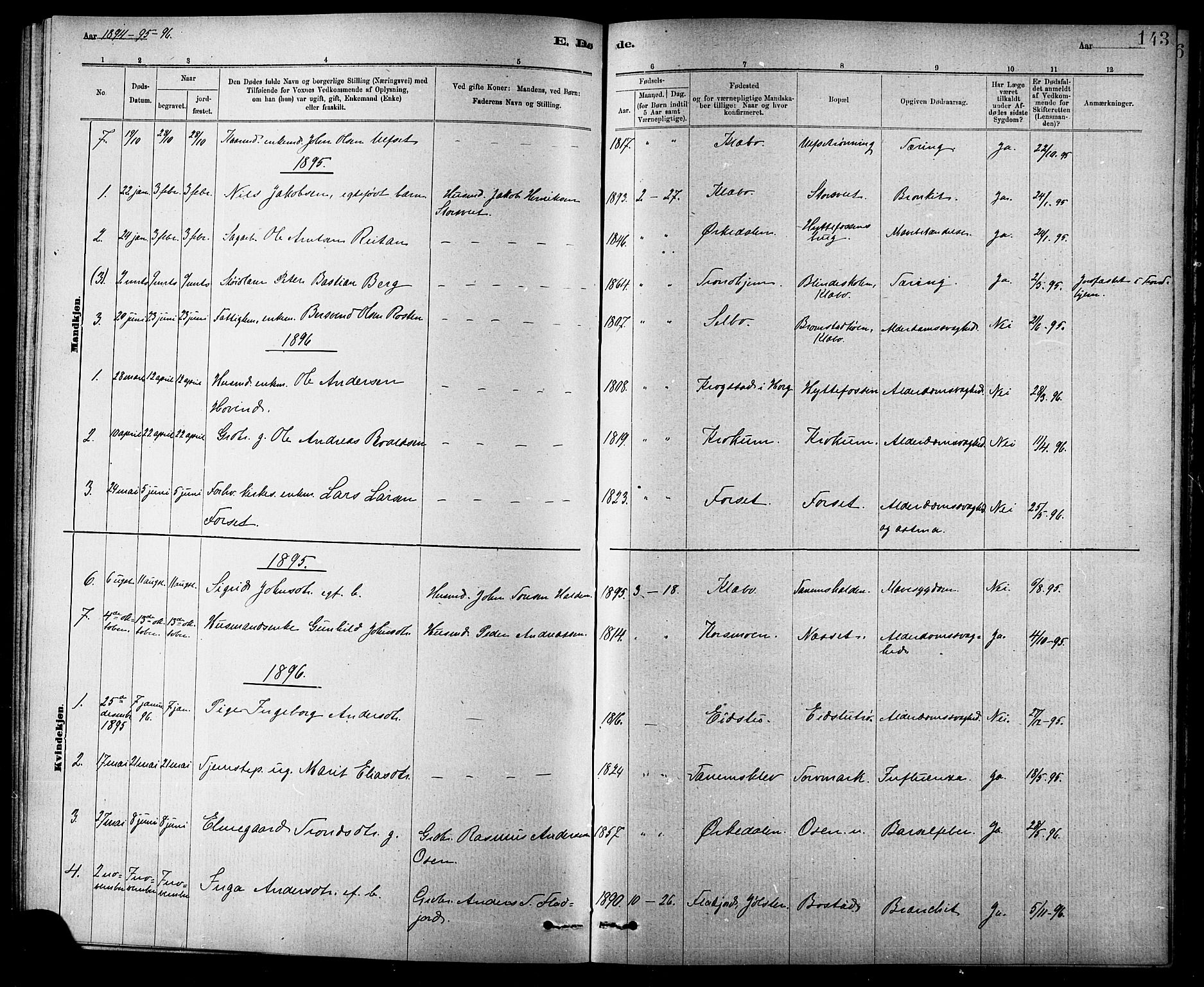 Ministerialprotokoller, klokkerbøker og fødselsregistre - Sør-Trøndelag, AV/SAT-A-1456/618/L0452: Parish register (copy) no. 618C03, 1884-1906, p. 143