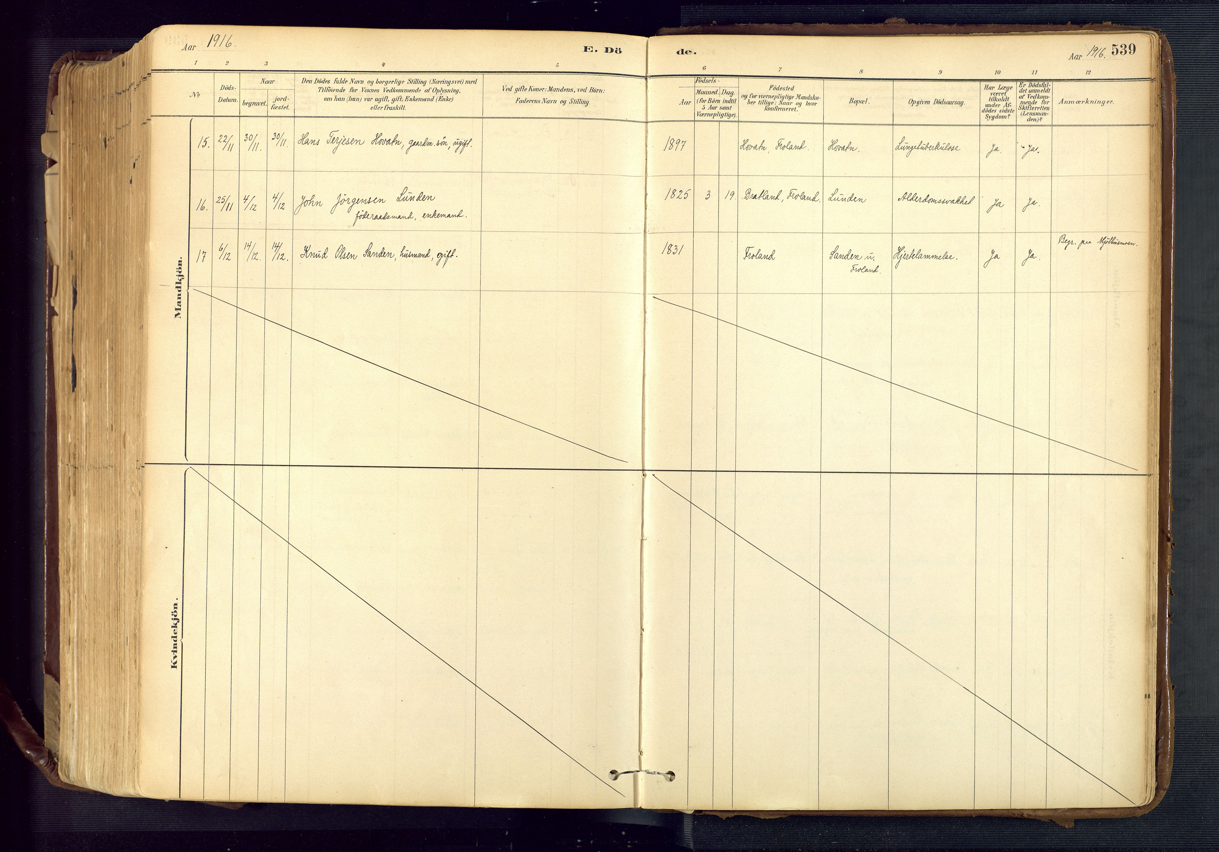 Froland sokneprestkontor, SAK/1111-0013/F/Fa/L0005: Parish register (official) no. A 5, 1882-1921, p. 539