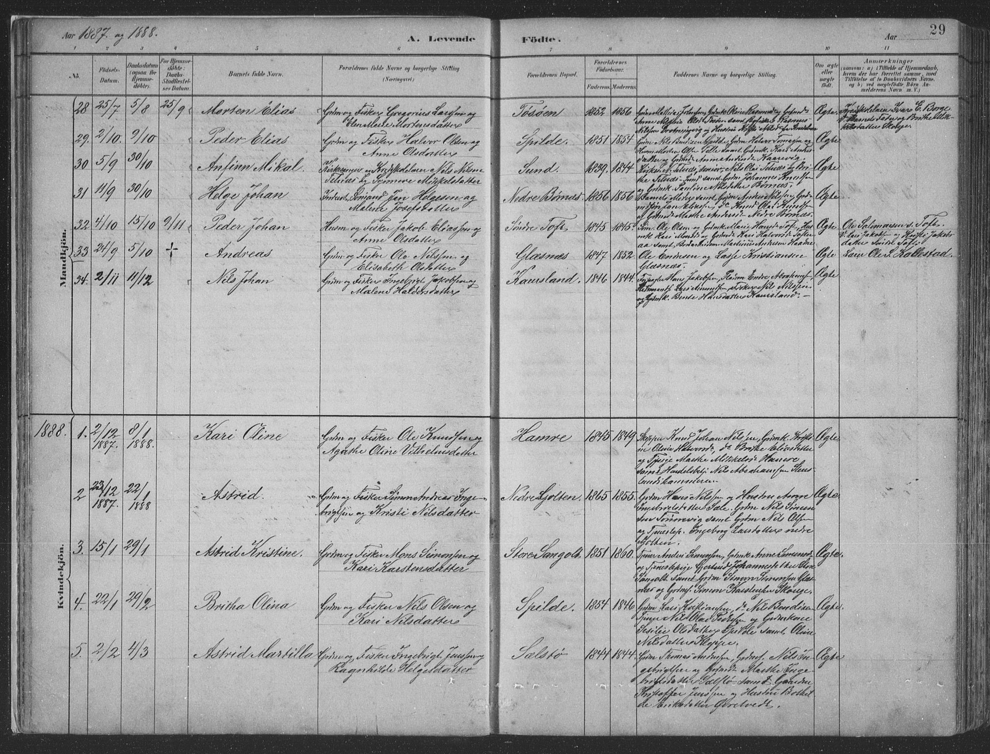 Sund sokneprestembete, AV/SAB-A-99930: Parish register (copy) no. B 3, 1882-1911, p. 29