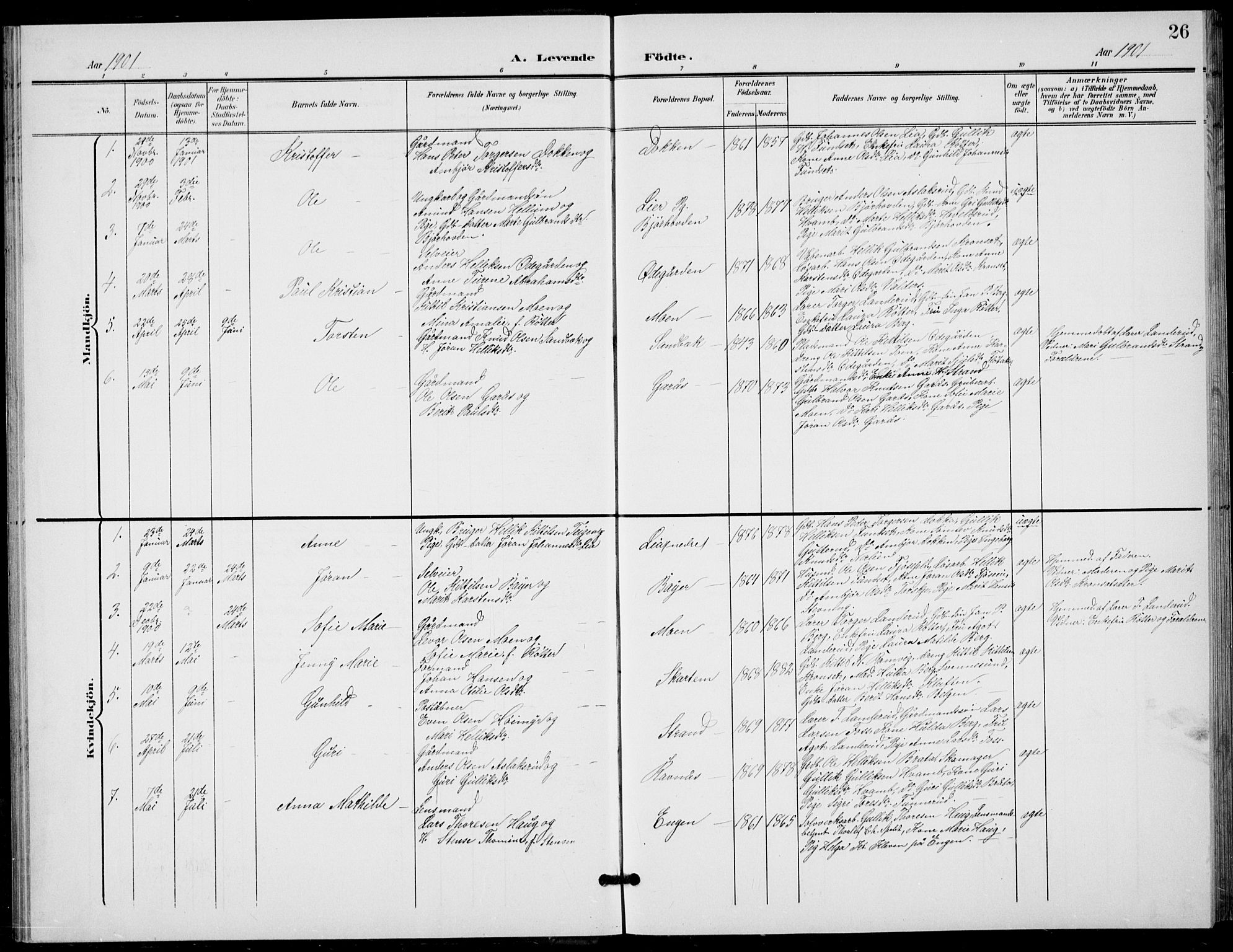 Flesberg kirkebøker, AV/SAKO-A-18/G/Ga/L0005: Parish register (copy) no. I 5, 1899-1908, p. 26