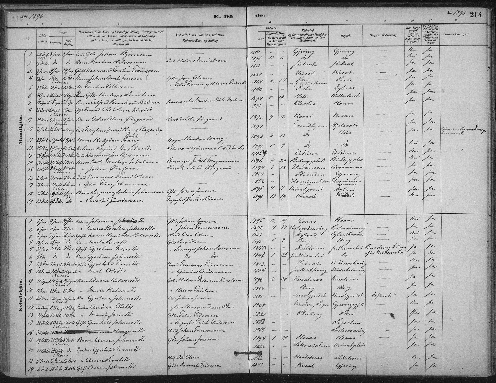 Ministerialprotokoller, klokkerbøker og fødselsregistre - Nord-Trøndelag, AV/SAT-A-1458/710/L0095: Parish register (official) no. 710A01, 1880-1914, p. 214