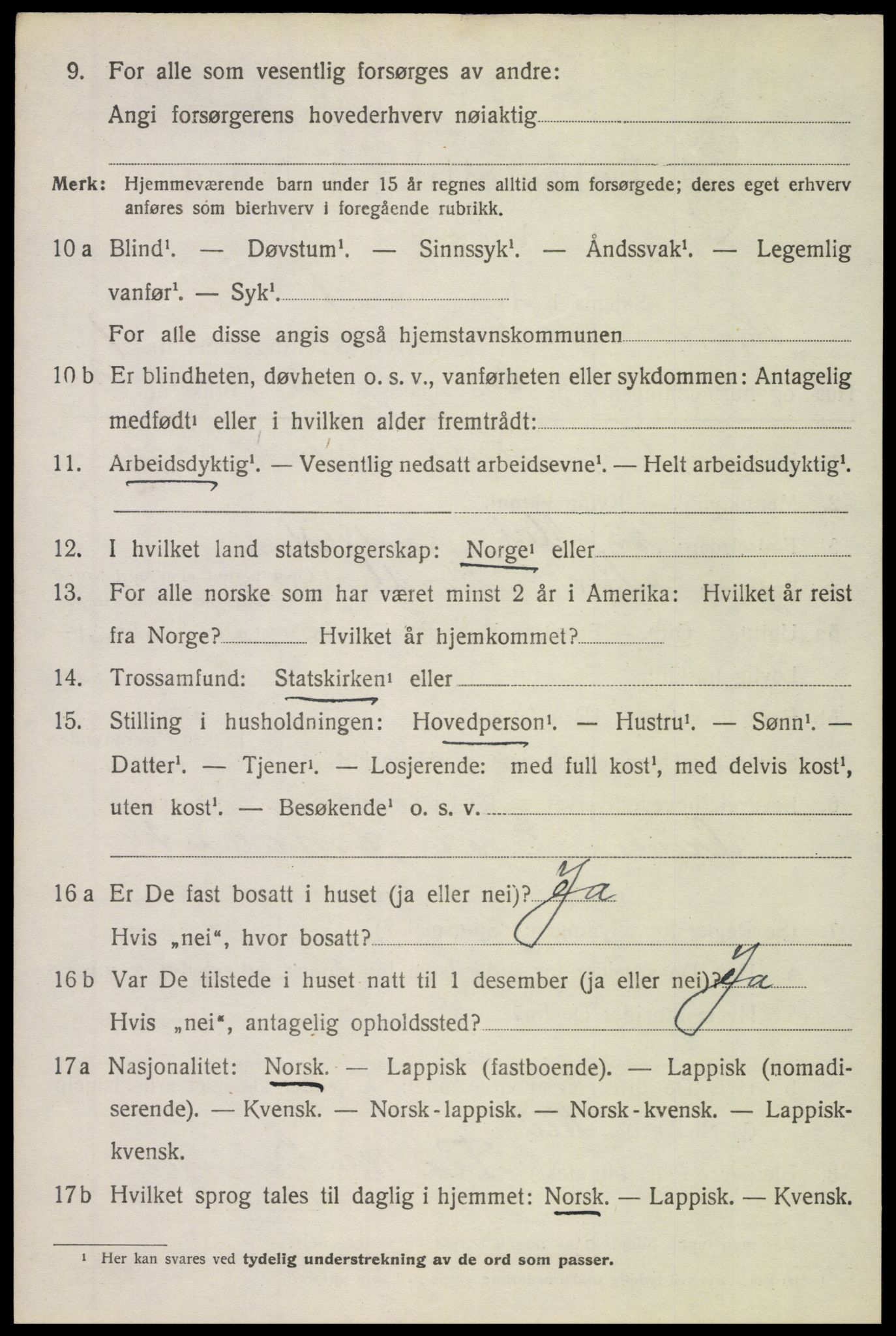 SAT, 1920 census for Bø, 1920, p. 1903