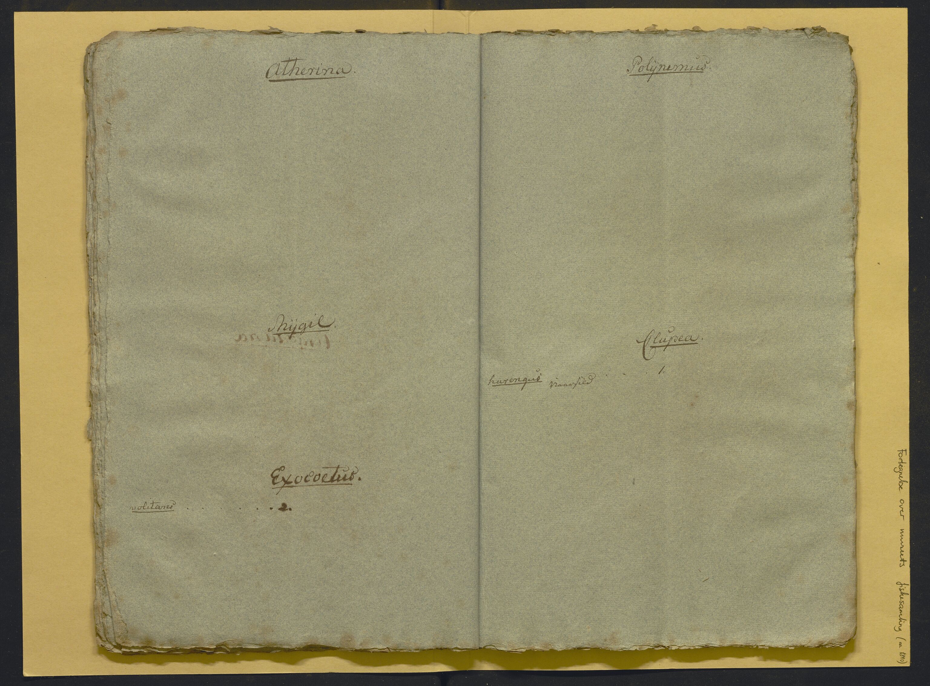 Bergens Museum, AV/SAB-A-17301/02/F/L0001: Kataloger over gjenstander og pergamentbrev , 1825-1880, p. 514