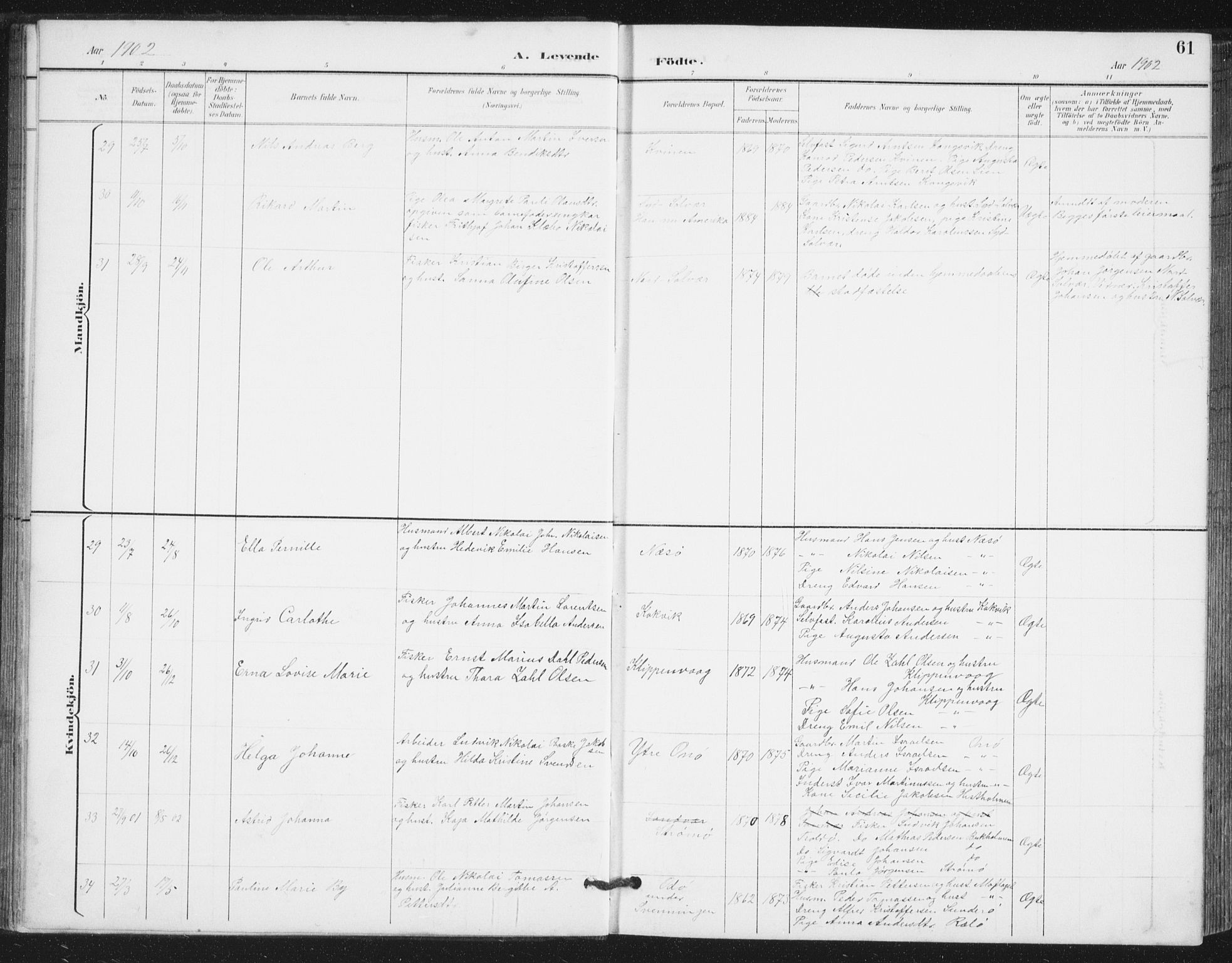 Ministerialprotokoller, klokkerbøker og fødselsregistre - Nordland, AV/SAT-A-1459/839/L0573: Parish register (copy) no. 839C03, 1892-1917, p. 61