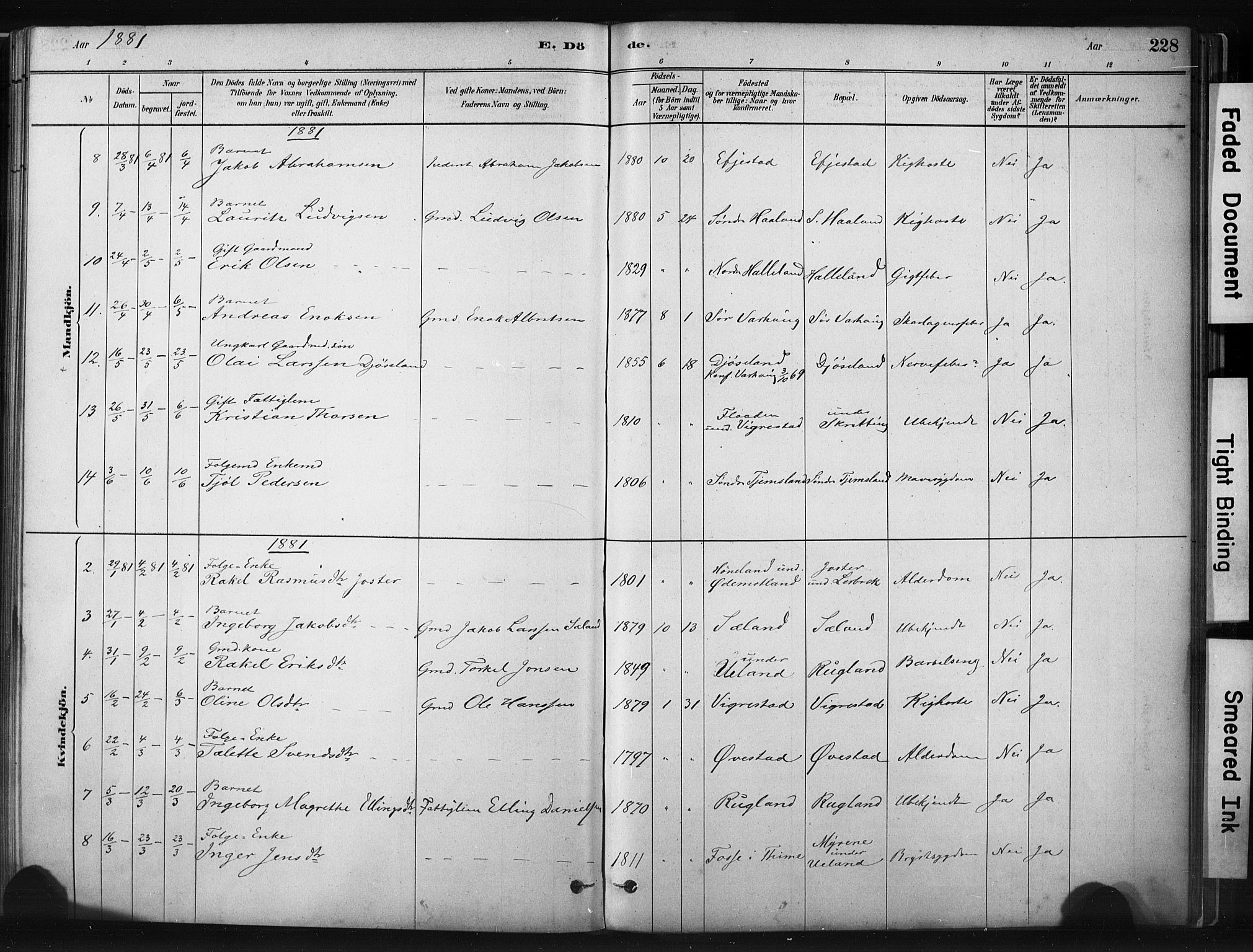 Hå sokneprestkontor, AV/SAST-A-101801/001/30BA/L0011: Parish register (official) no. A 10, 1879-1900, p. 228