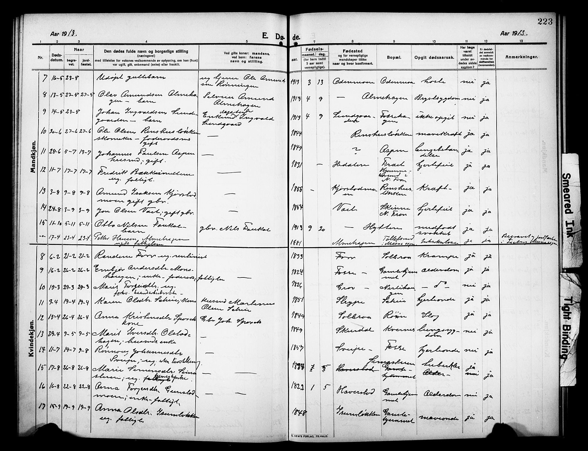 Sør-Fron prestekontor, AV/SAH-PREST-010/H/Ha/Hab/L0005: Parish register (copy) no. 5, 1912-1930, p. 223