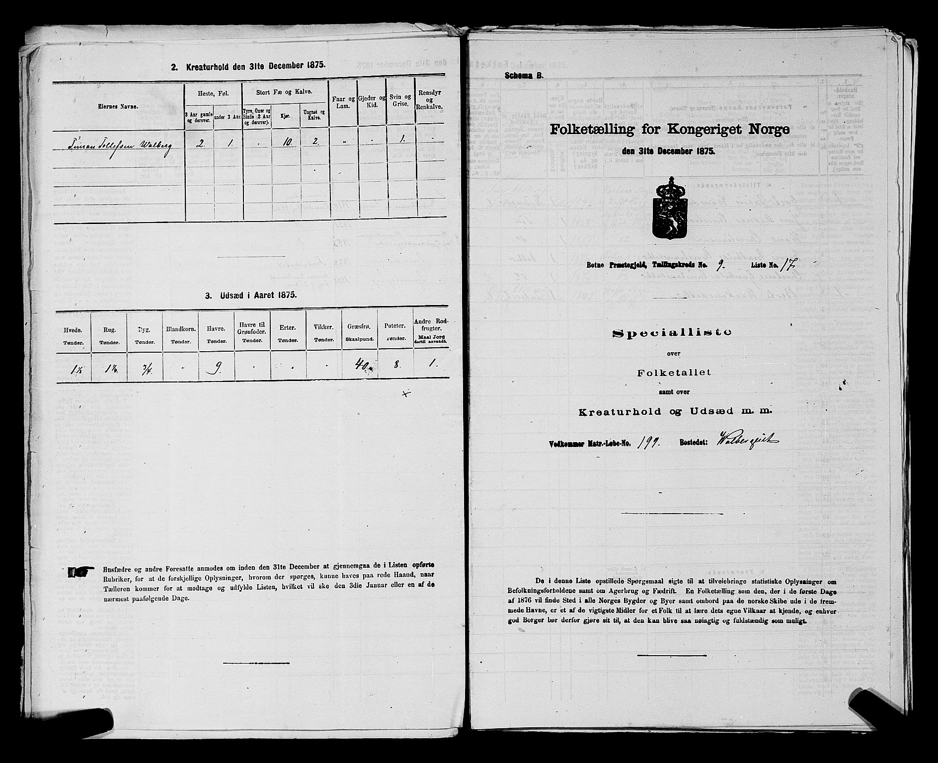 SAKO, 1875 census for 0715P Botne, 1875, p. 703