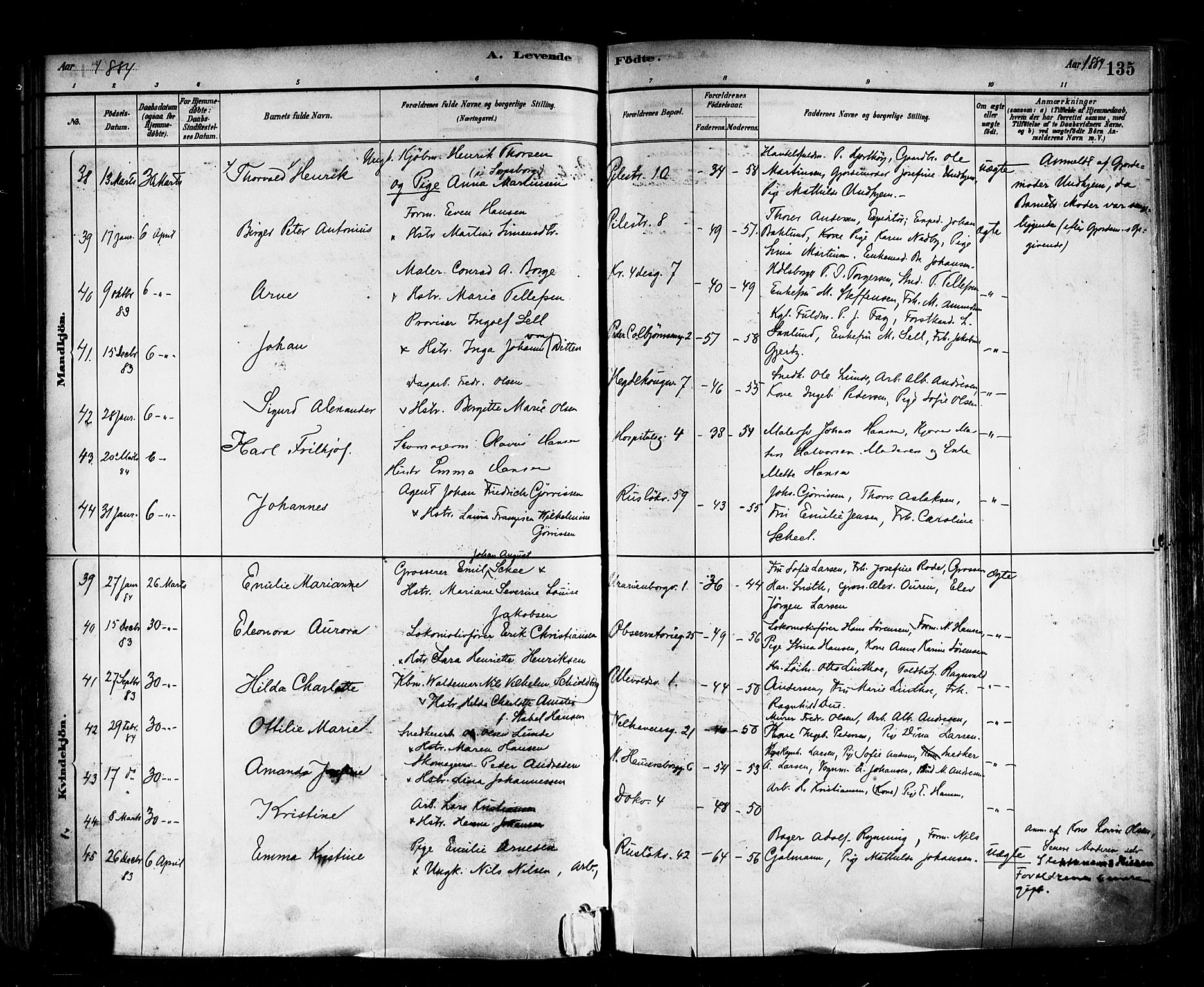 Trefoldighet prestekontor Kirkebøker, SAO/A-10882/F/Fa/L0005: Parish register (official) no. I 5, 1881-1891, p. 135