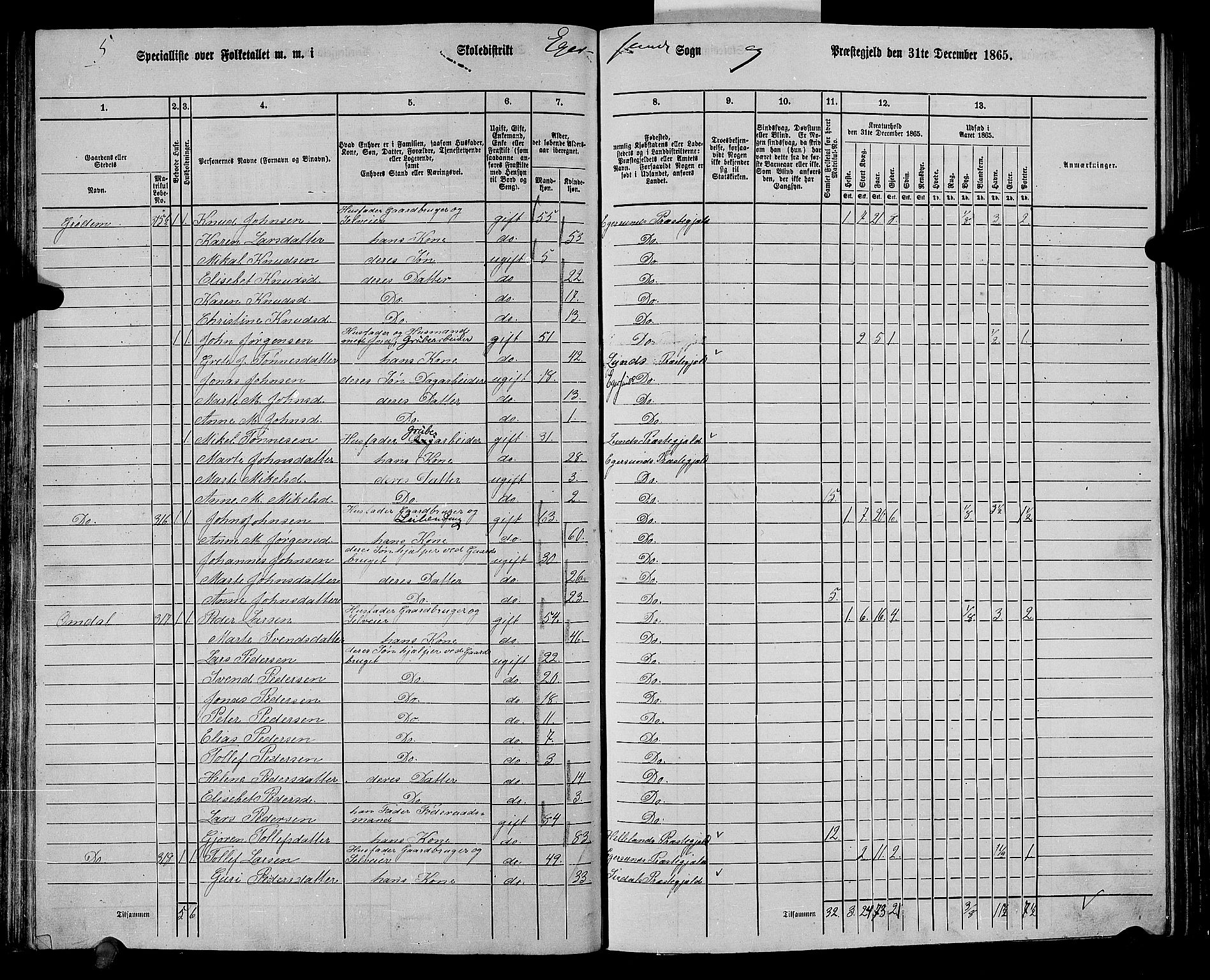 RA, 1865 census for Eigersund/Eigersund og Ogna, 1865, p. 84