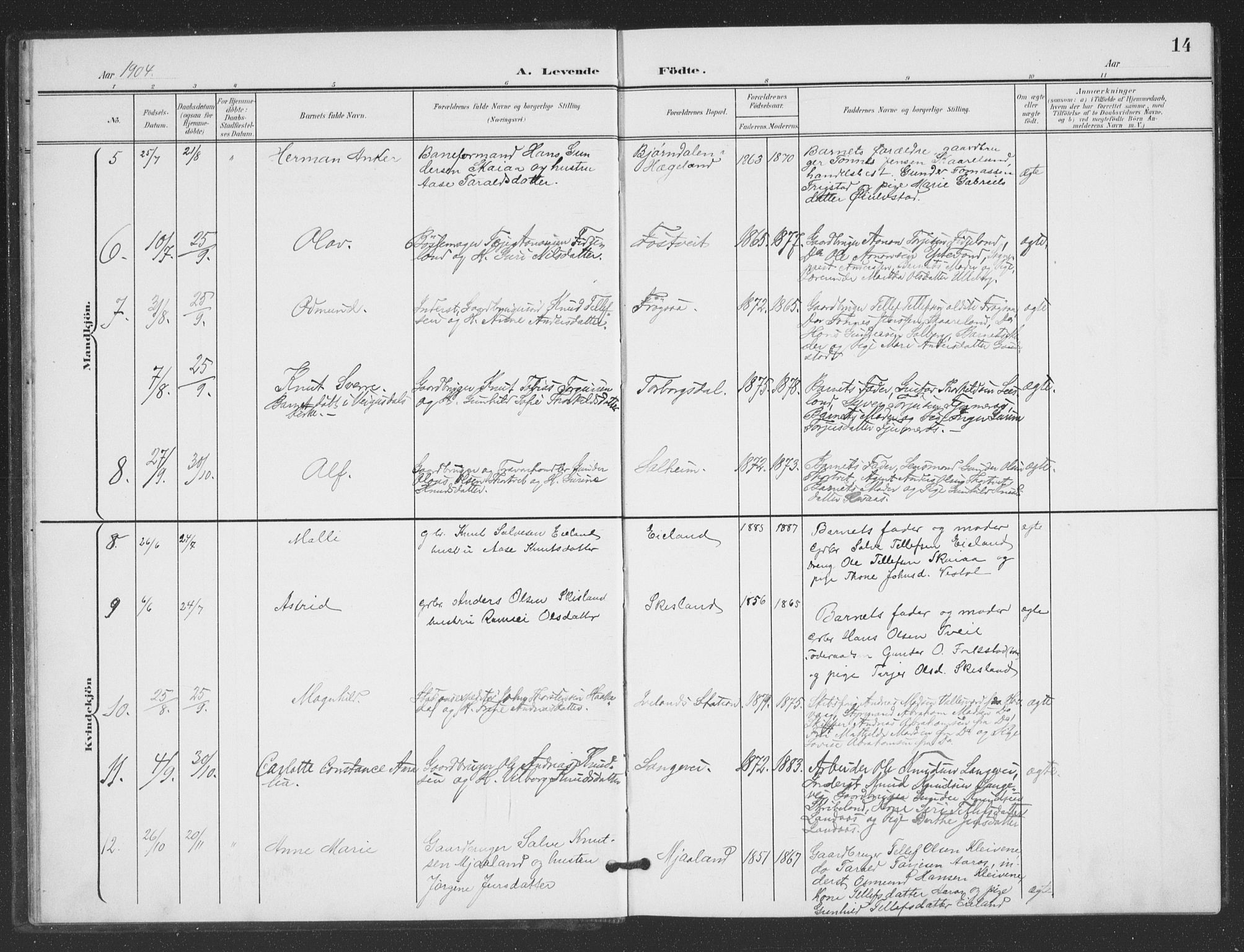 Evje sokneprestkontor, SAK/1111-0008/F/Fb/Fbc/L0005: Parish register (copy) no. B 5, 1901-1935, p. 14