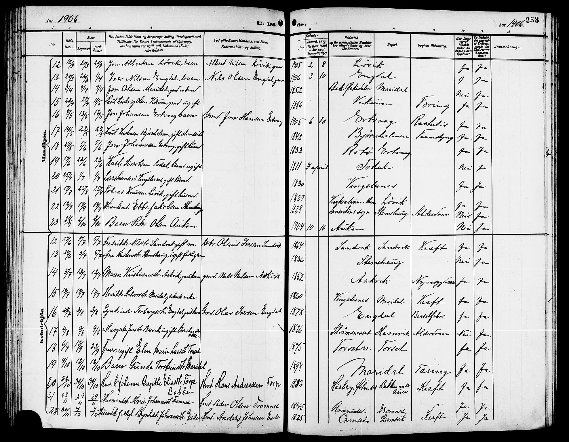 Ministerialprotokoller, klokkerbøker og fødselsregistre - Møre og Romsdal, AV/SAT-A-1454/578/L0910: Parish register (copy) no. 578C03, 1900-1921, p. 253