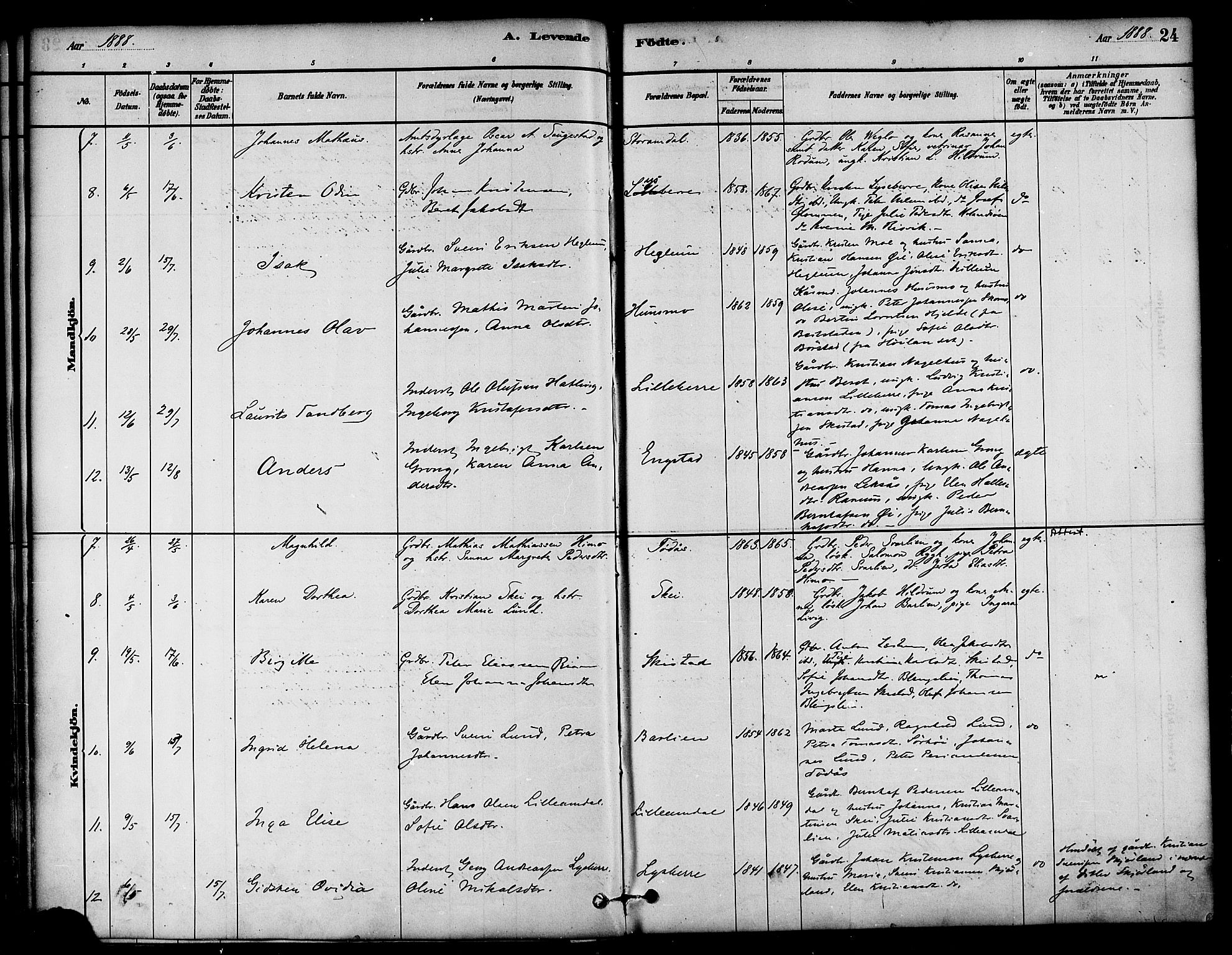 Ministerialprotokoller, klokkerbøker og fødselsregistre - Nord-Trøndelag, SAT/A-1458/764/L0555: Parish register (official) no. 764A10, 1881-1896, p. 24